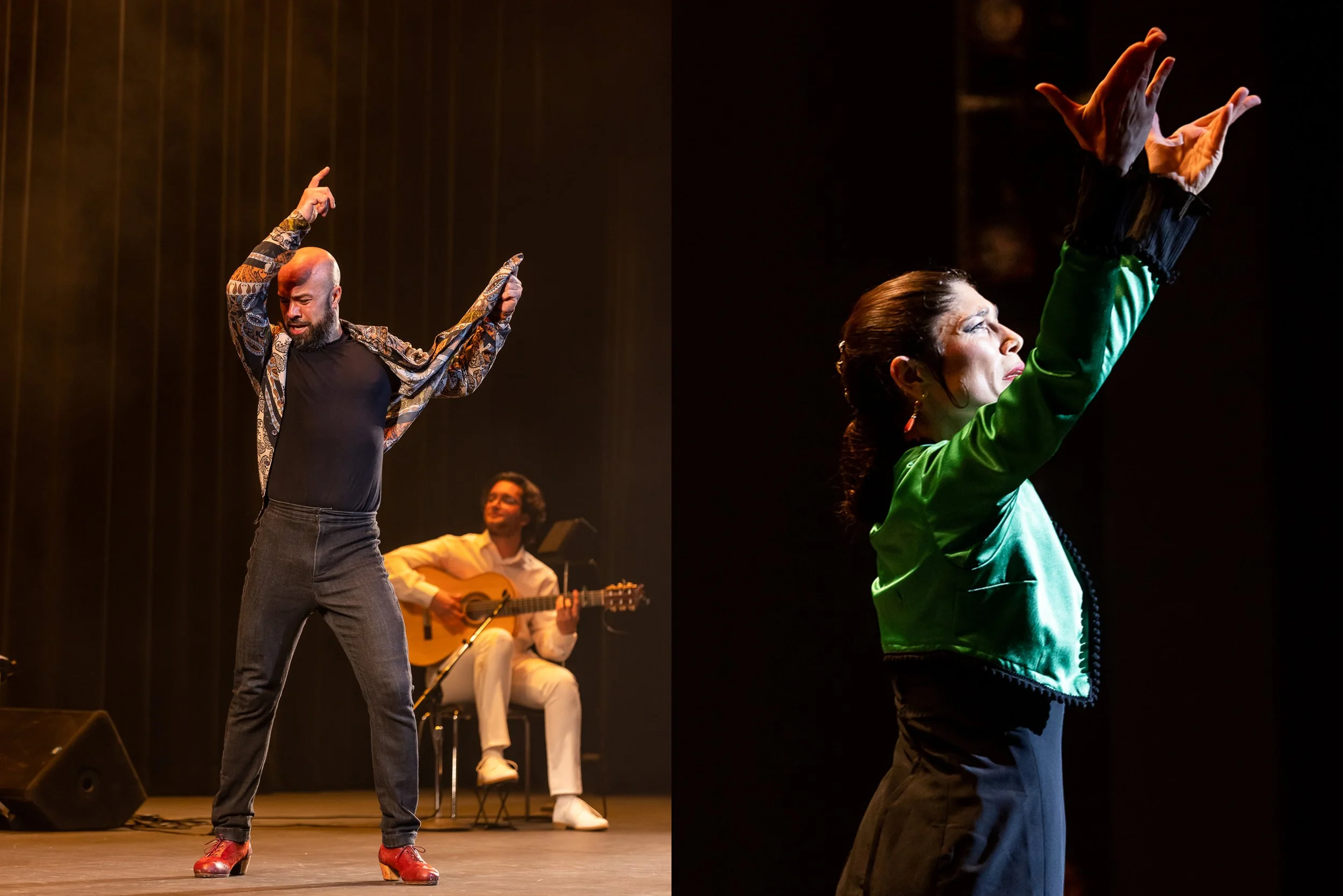 SariMakkiPhoto-LAFlamencoFest17.jpg