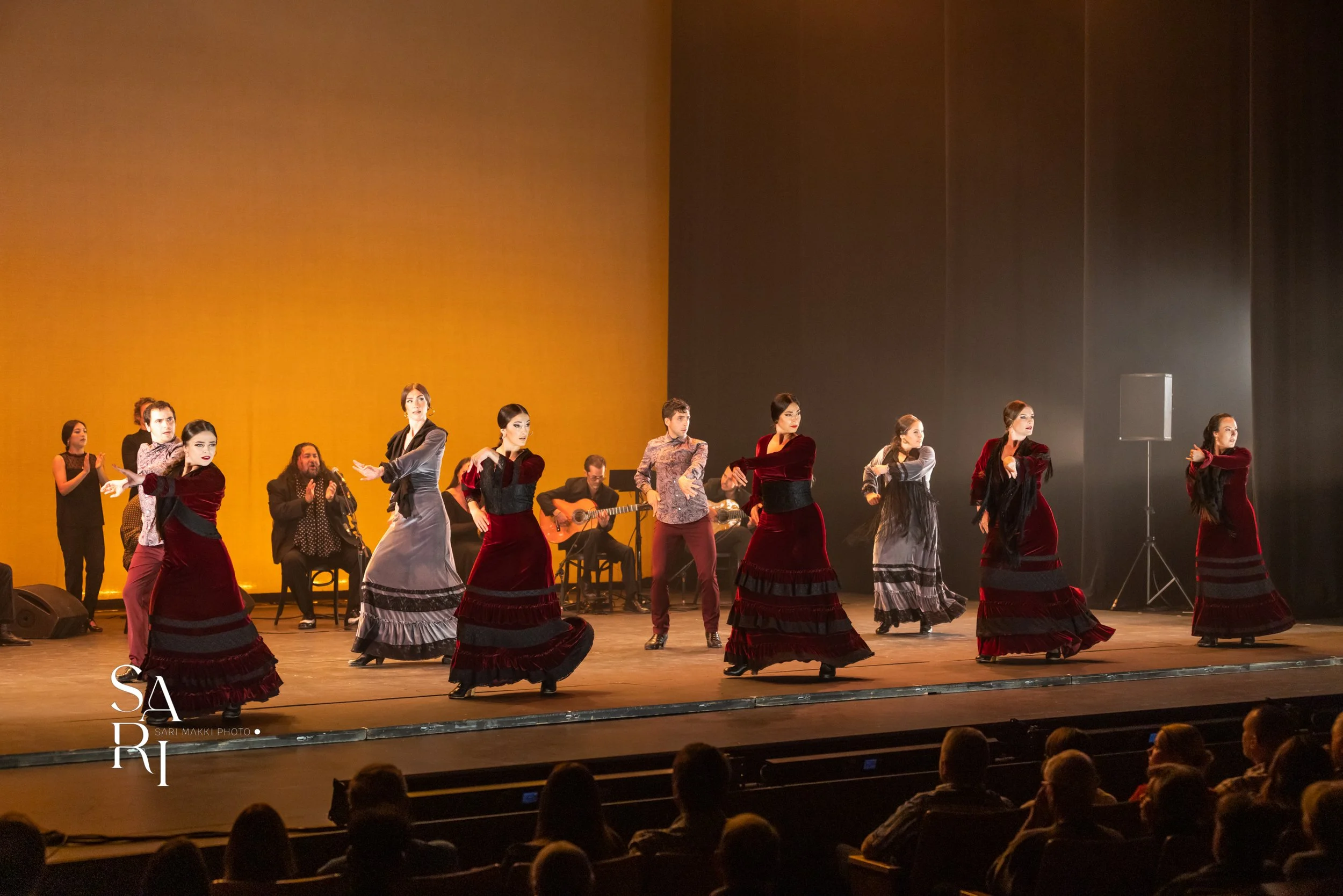 SariMakkiPhoto-FlamencoFestABQ36--10194-2.jpg