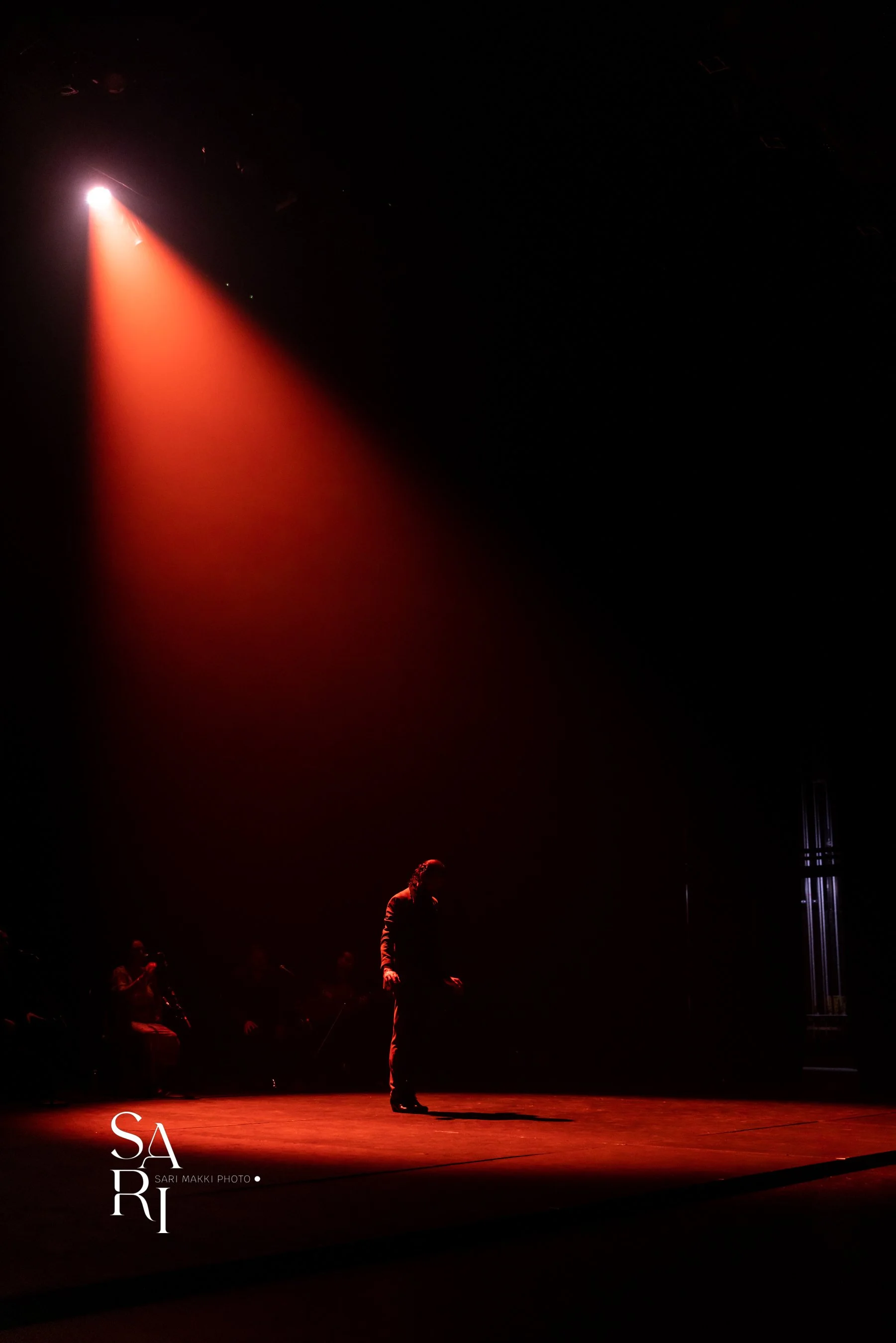 SariMakkiPhoto-FlamencoFestABQ36--10538-2.jpg