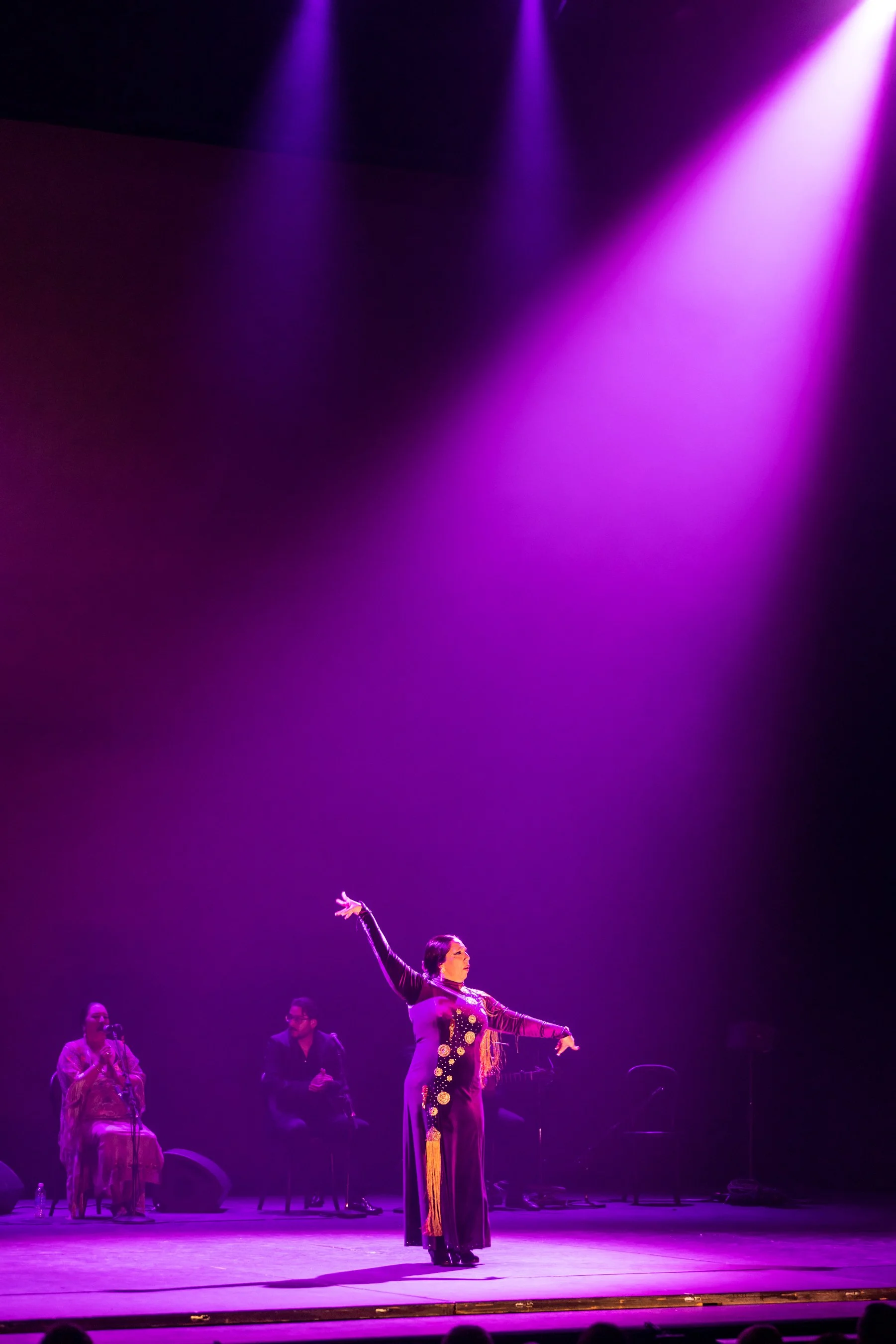 SariMakkiPhoto-FlamencoFestABQ36--10599.jpg