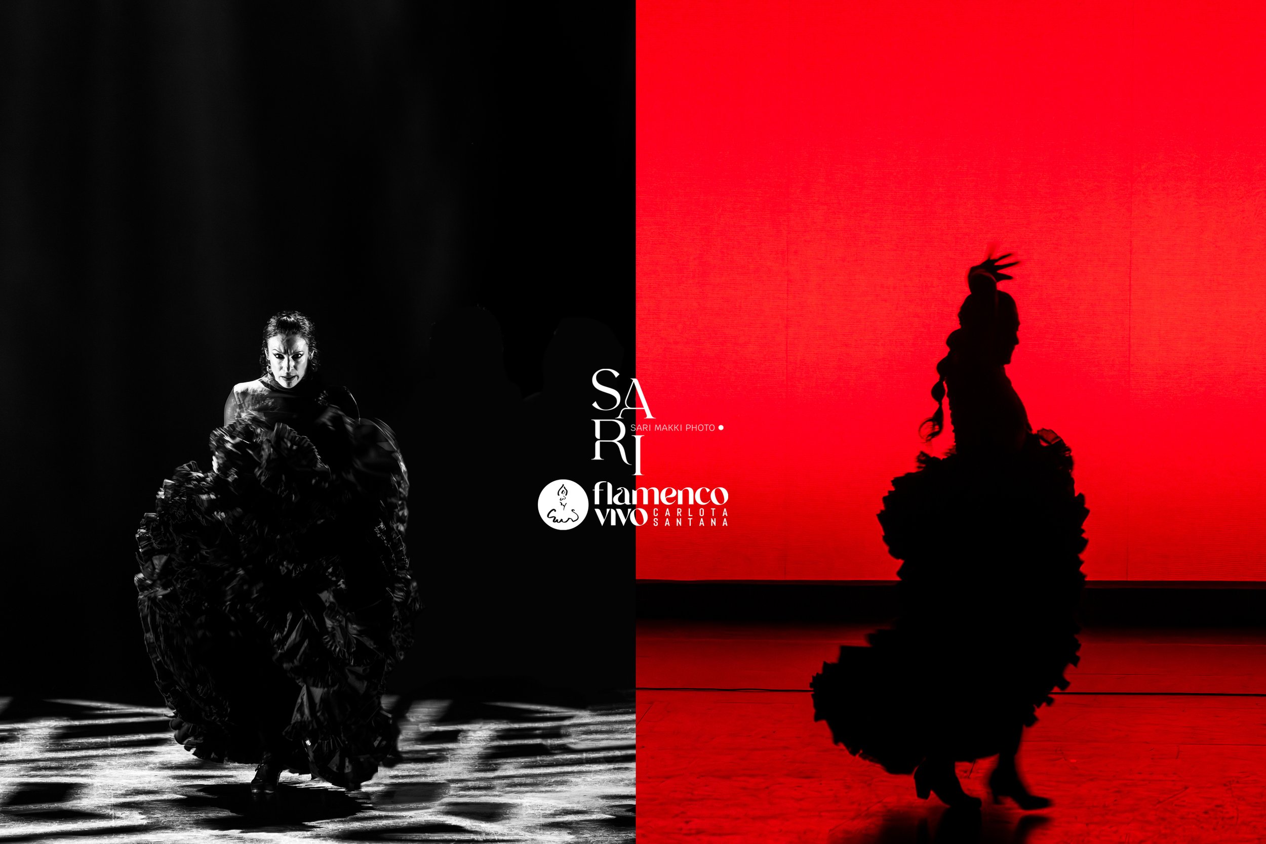 SariMakkiPhoto-FlamencoVivo1.jpg