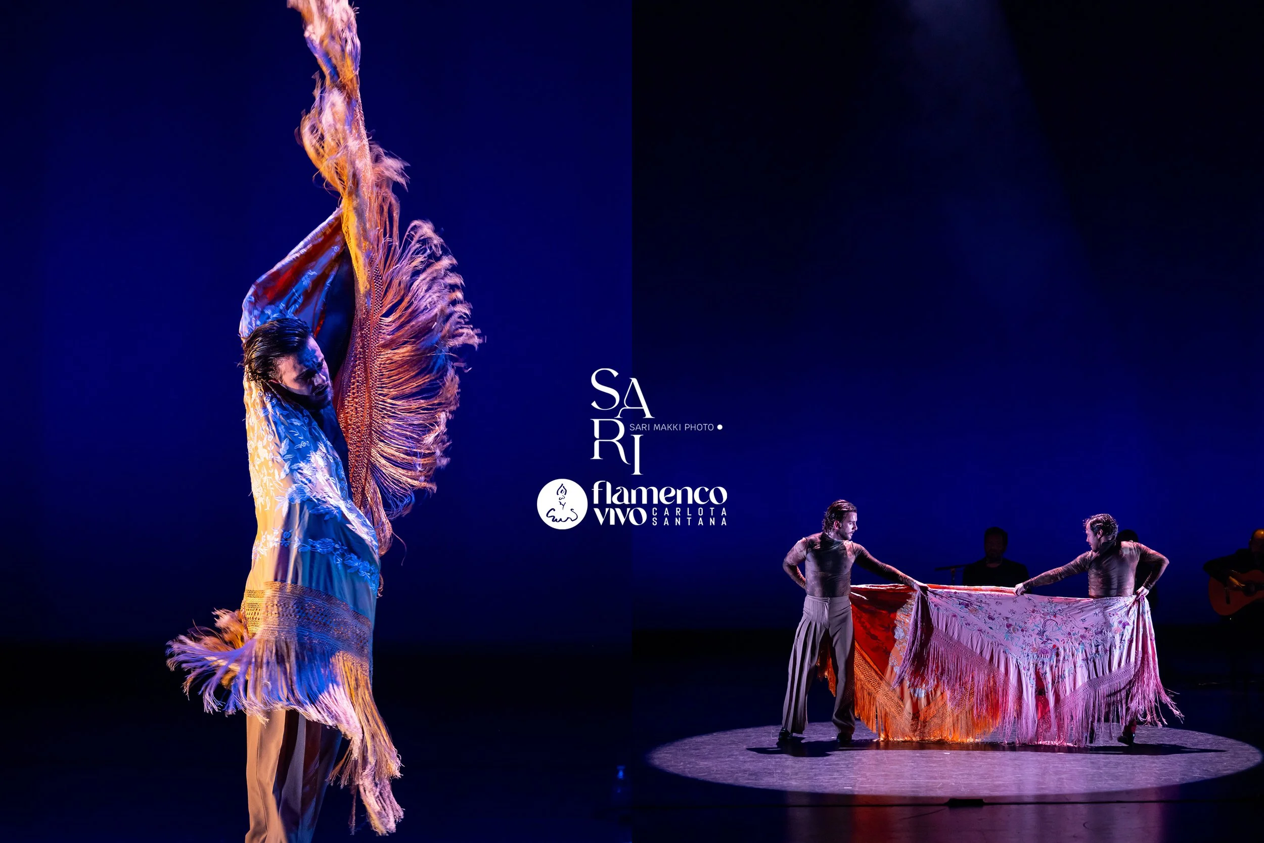 SariMakkiPhoto-FlamencoVivo5.jpg
