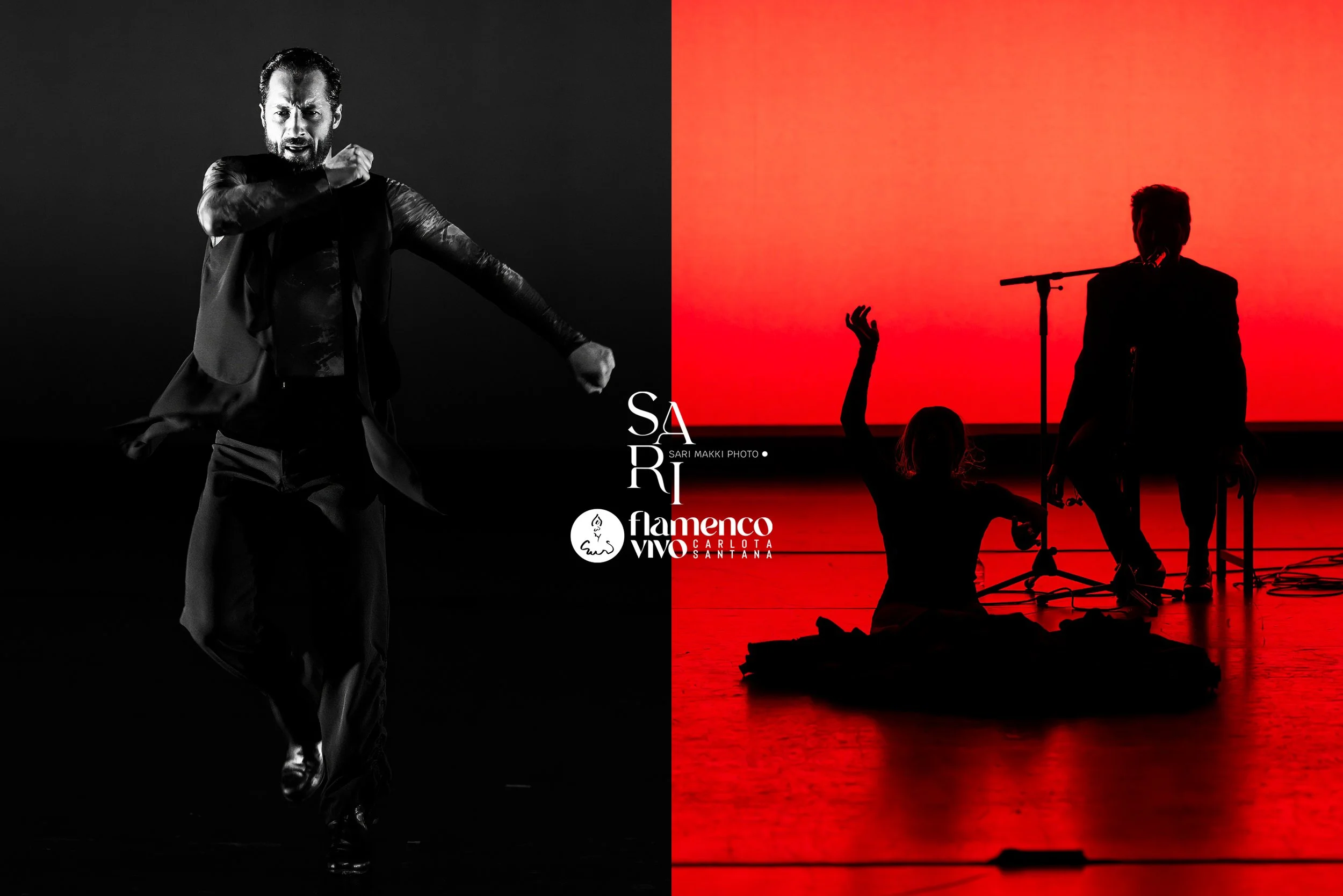 SariMakkiPhoto-FlamencoVivo6.jpg
