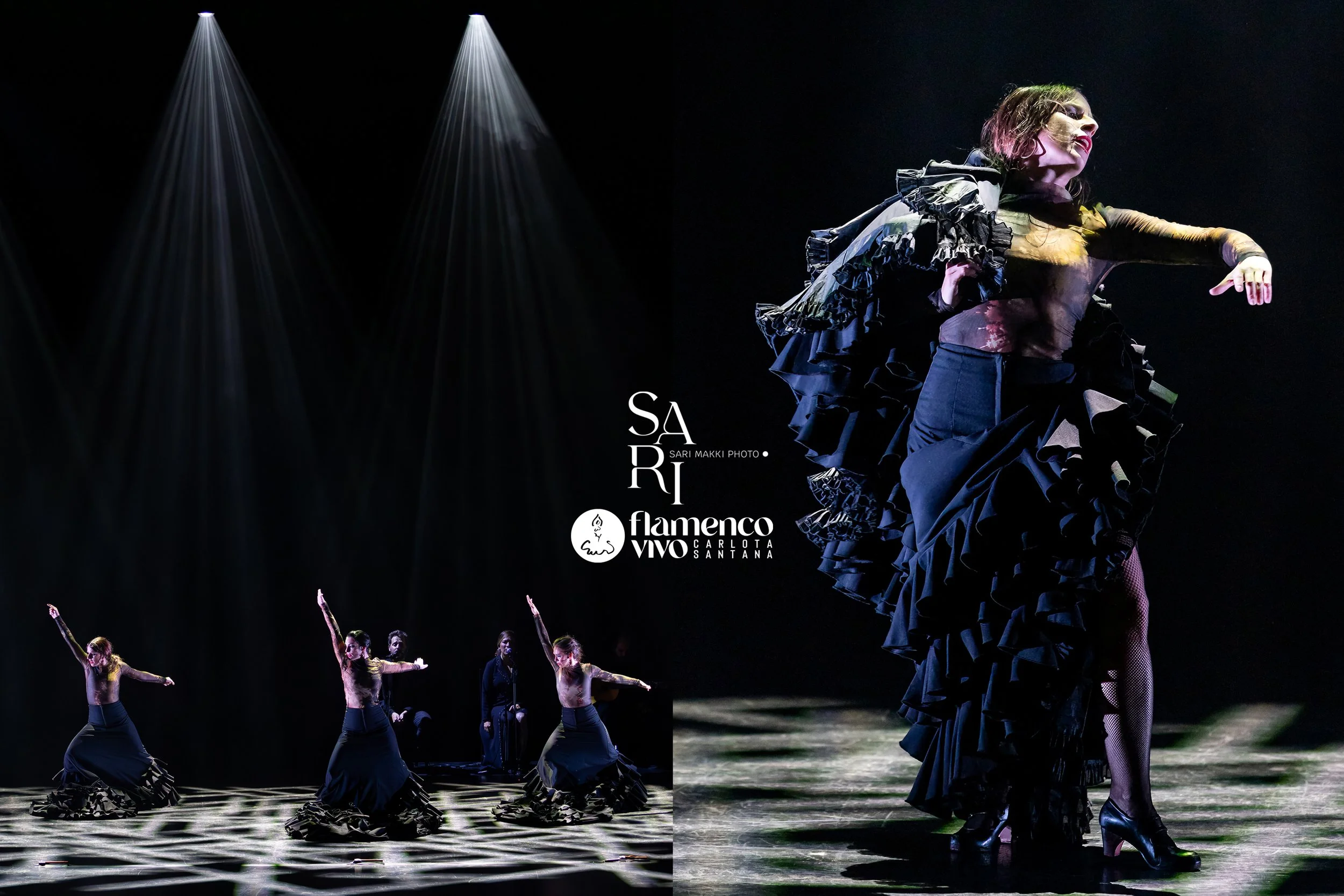 SariMakkiPhoto-FlamencoVivo7.jpg