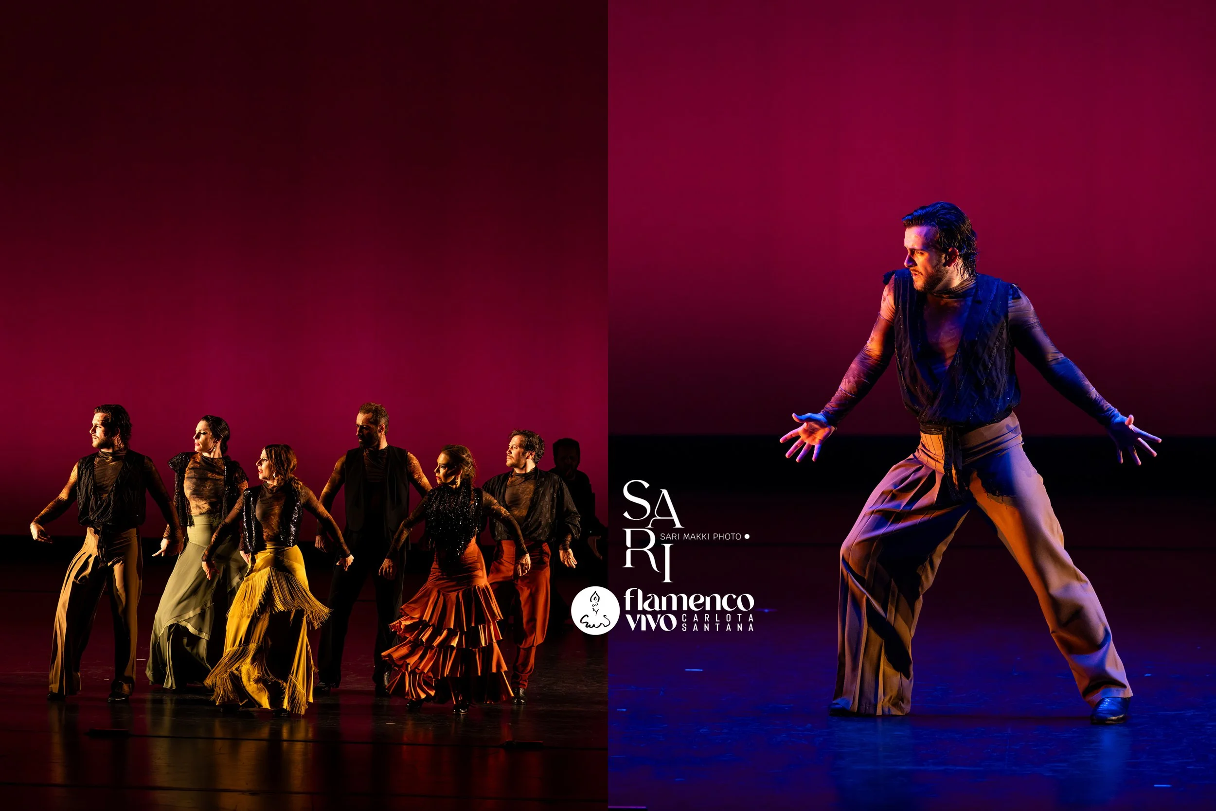 SariMakkiPhoto-FlamencoVivo12.jpg