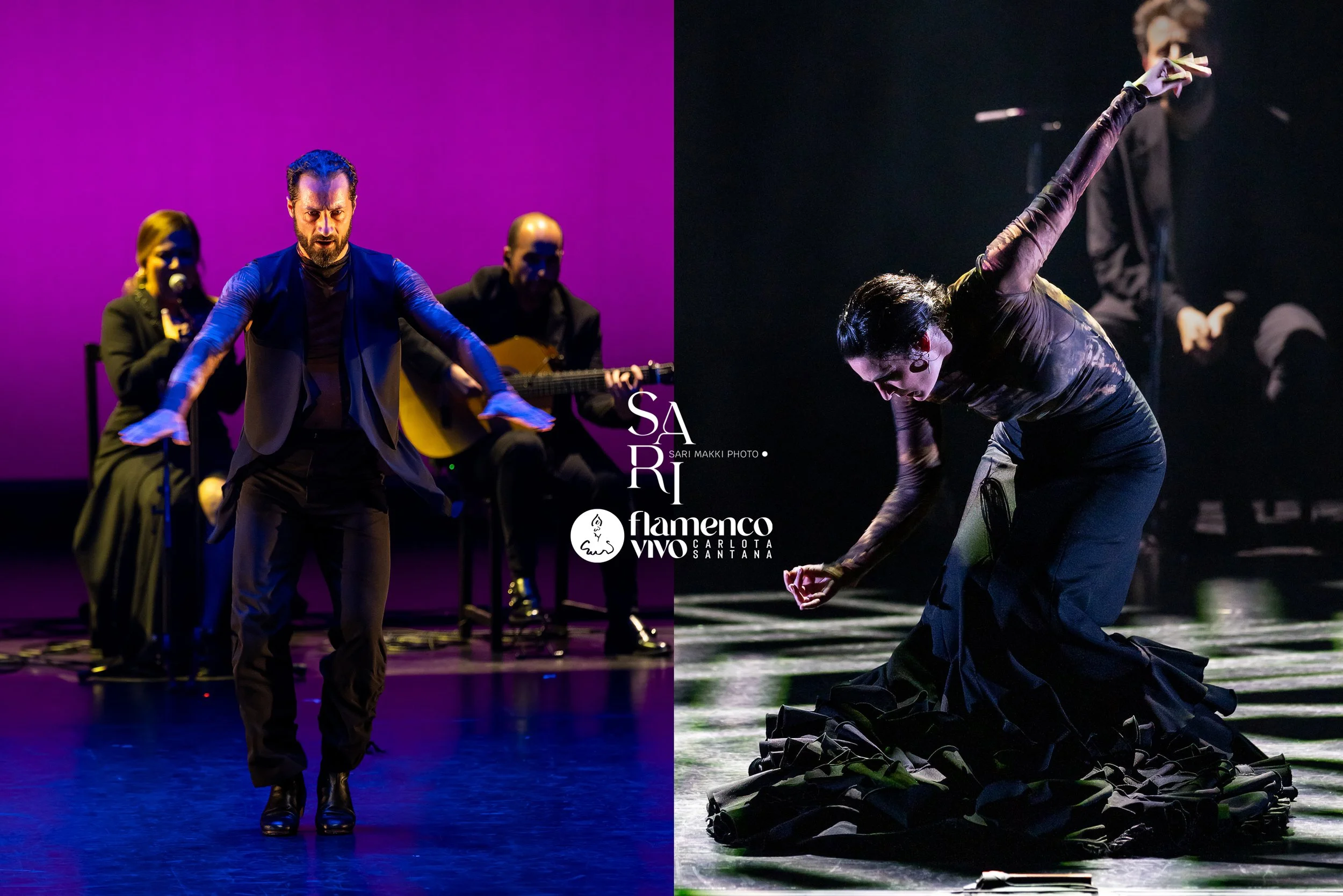 SariMakkiPhoto-FlamencoVivo11.jpg