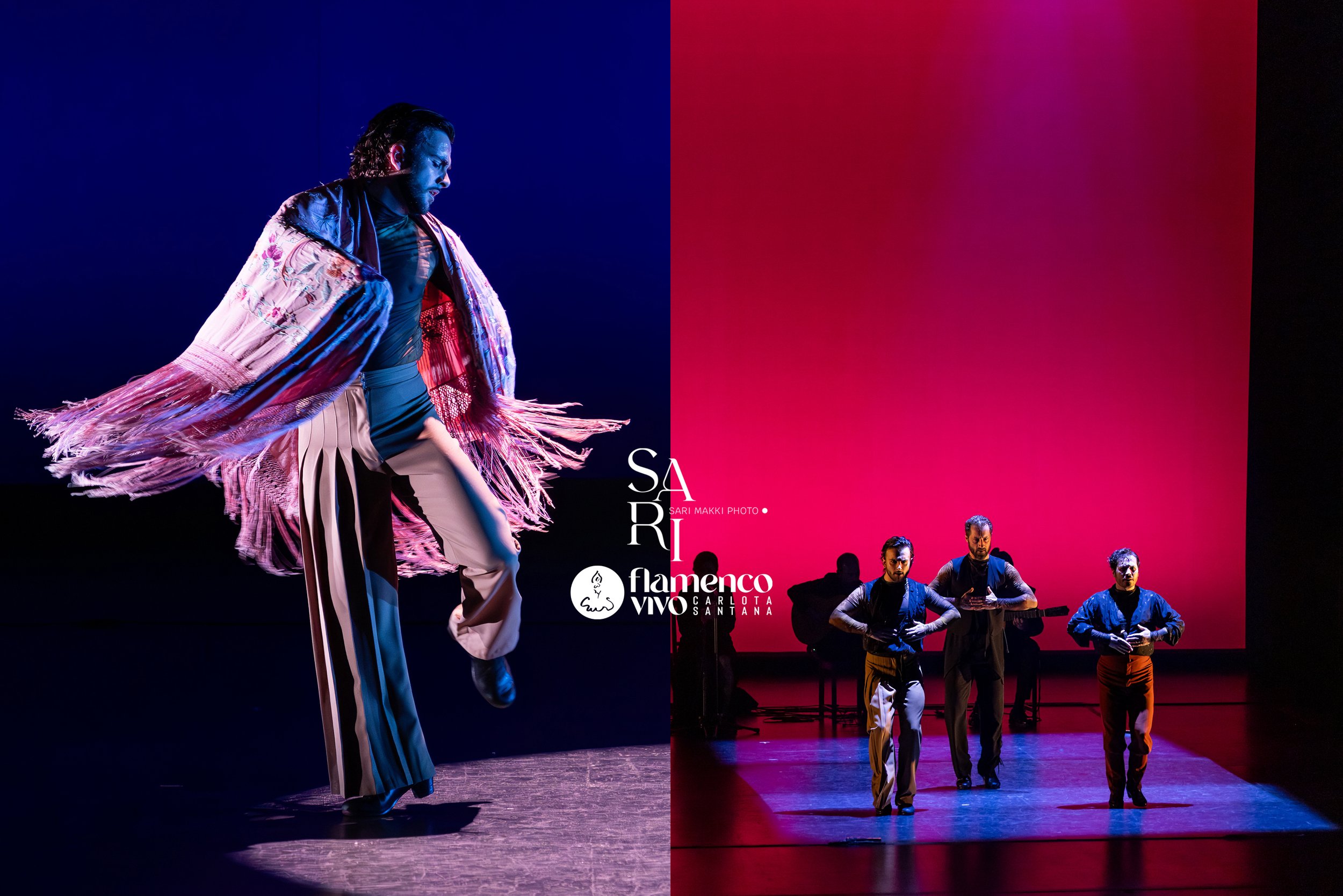 SariMakkiPhoto-FlamencoVivo13.jpg