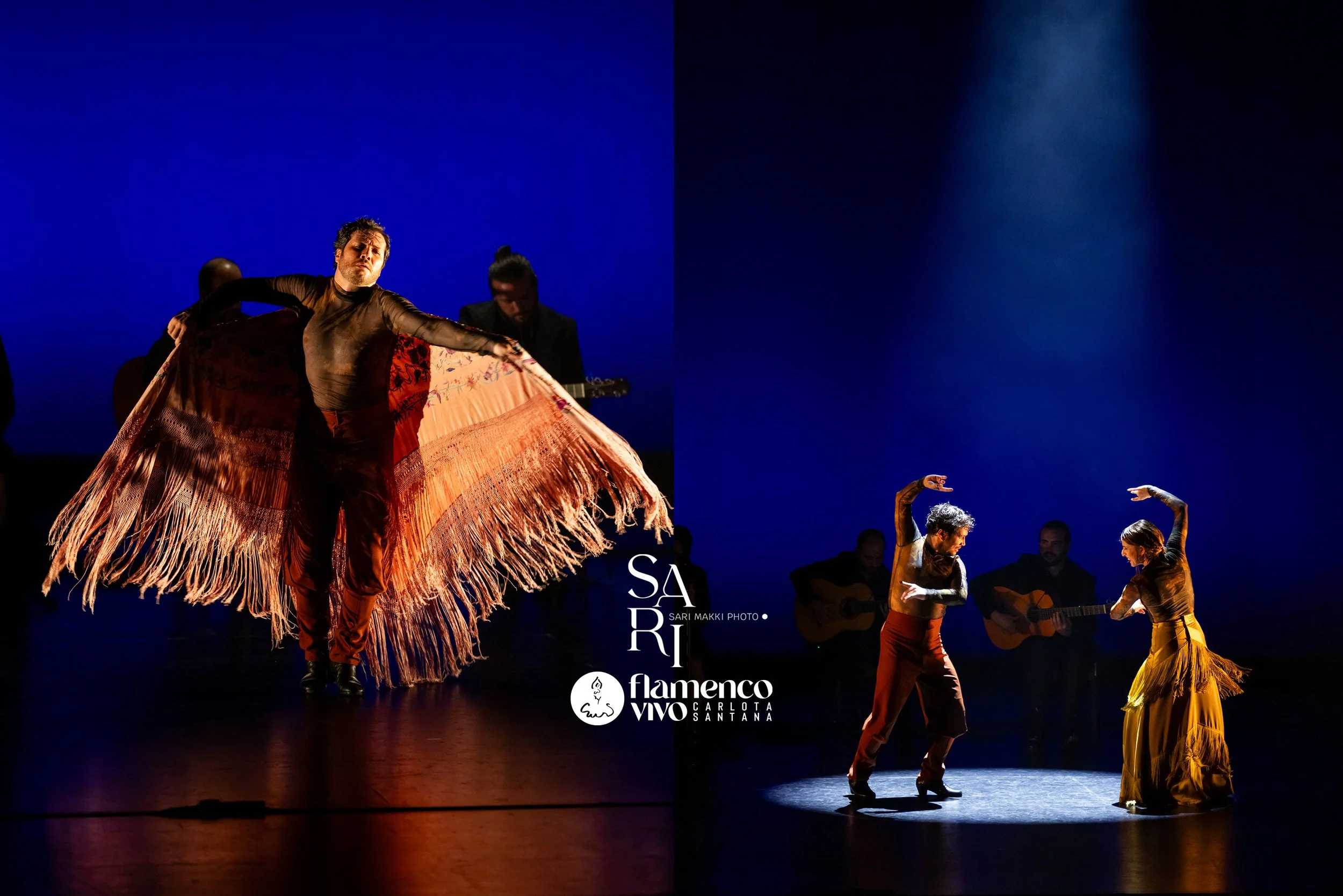 SariMakkiPhoto-FlamencoVivo14.jpg