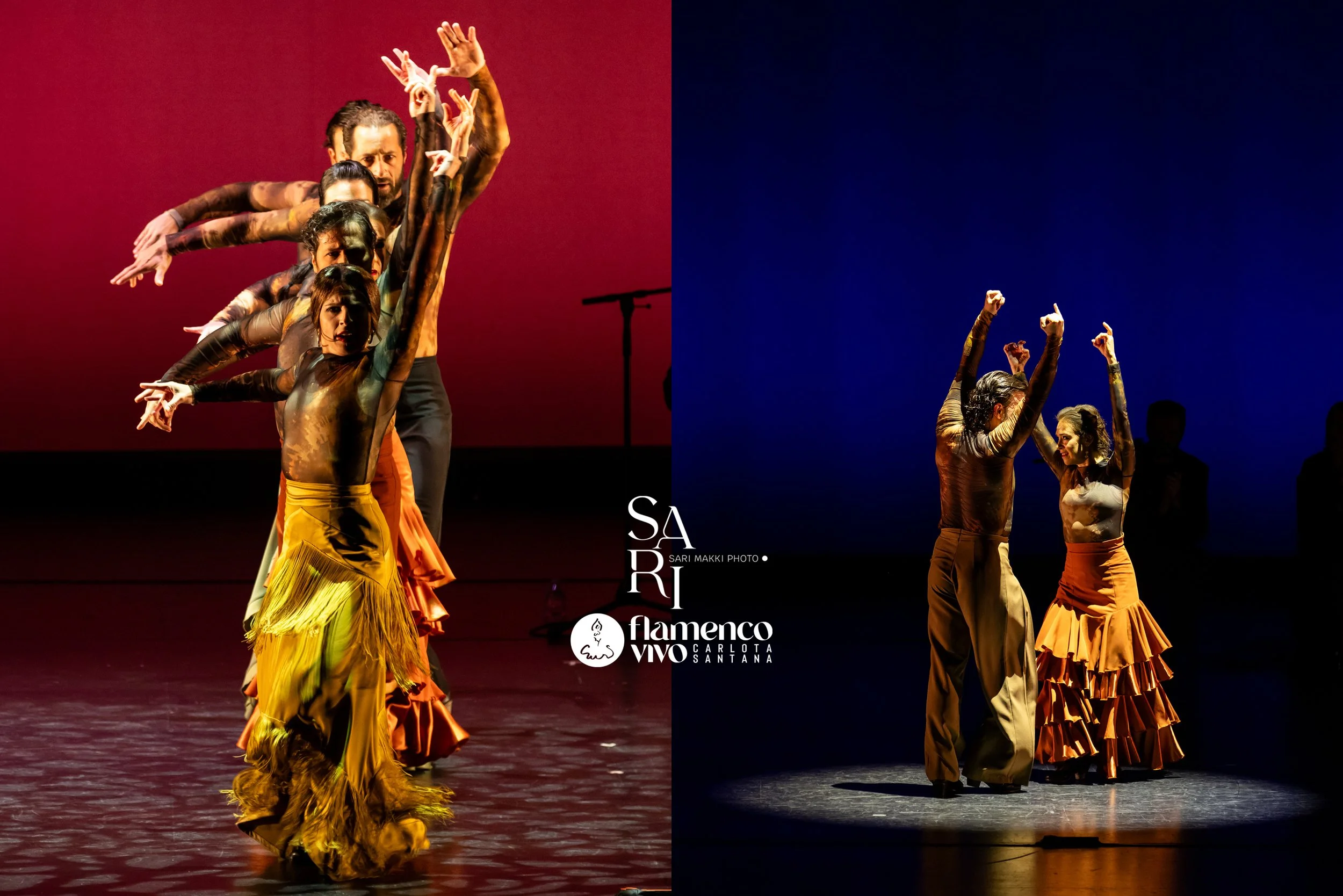 SariMakkiPhoto-FlamencoVivo15.jpg