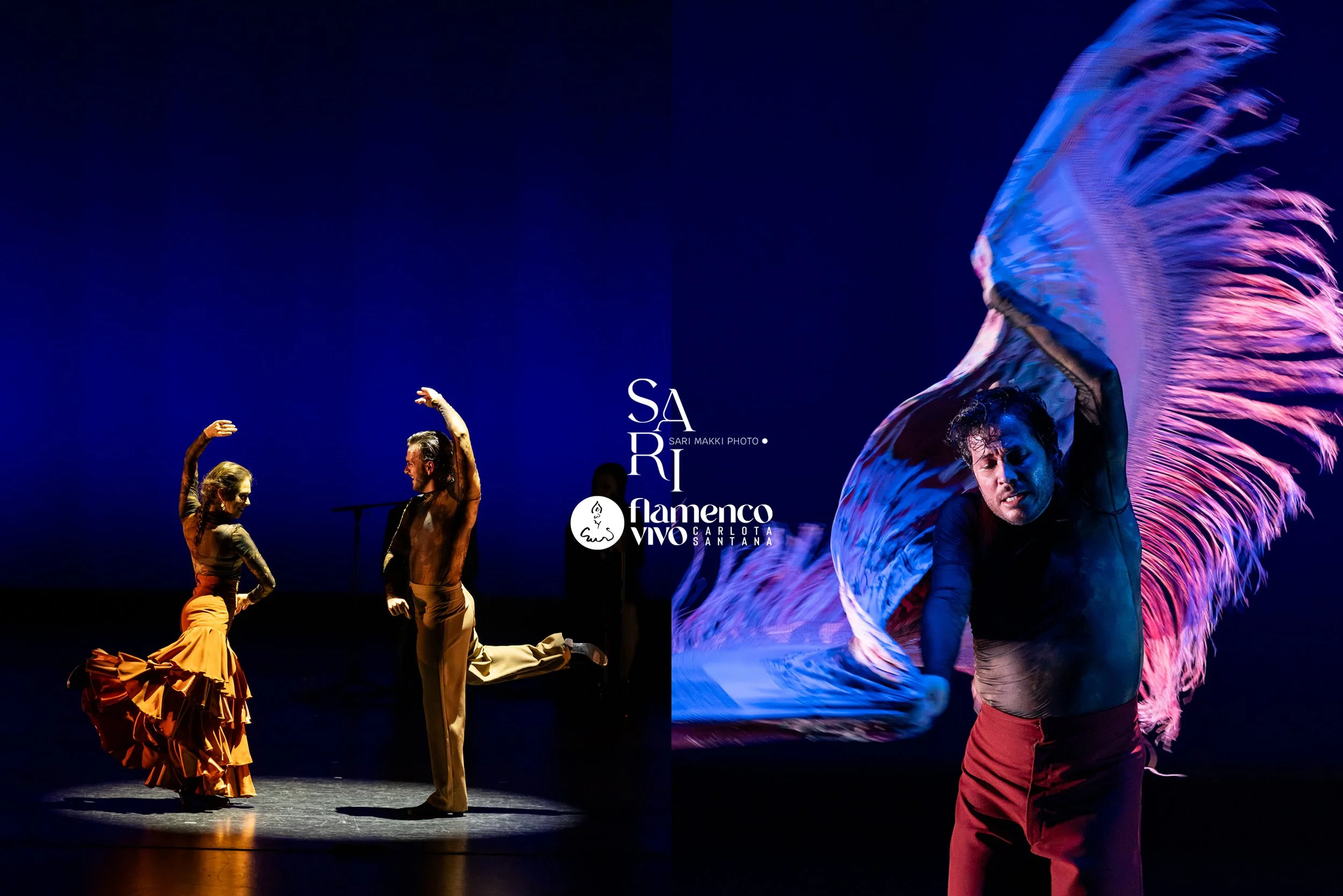 SariMakkiPhoto-FlamencoVivo19.jpg