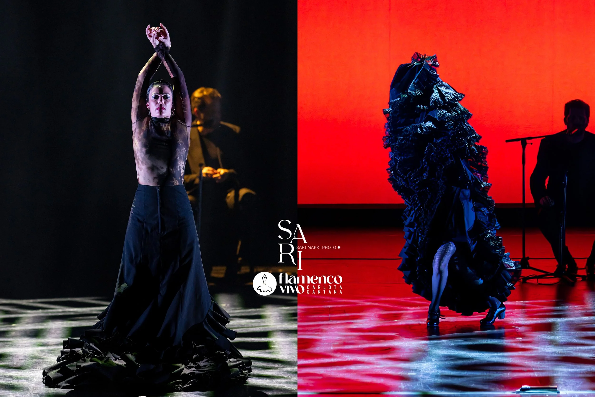 SariMakkiPhoto-FlamencoVivo18.jpg