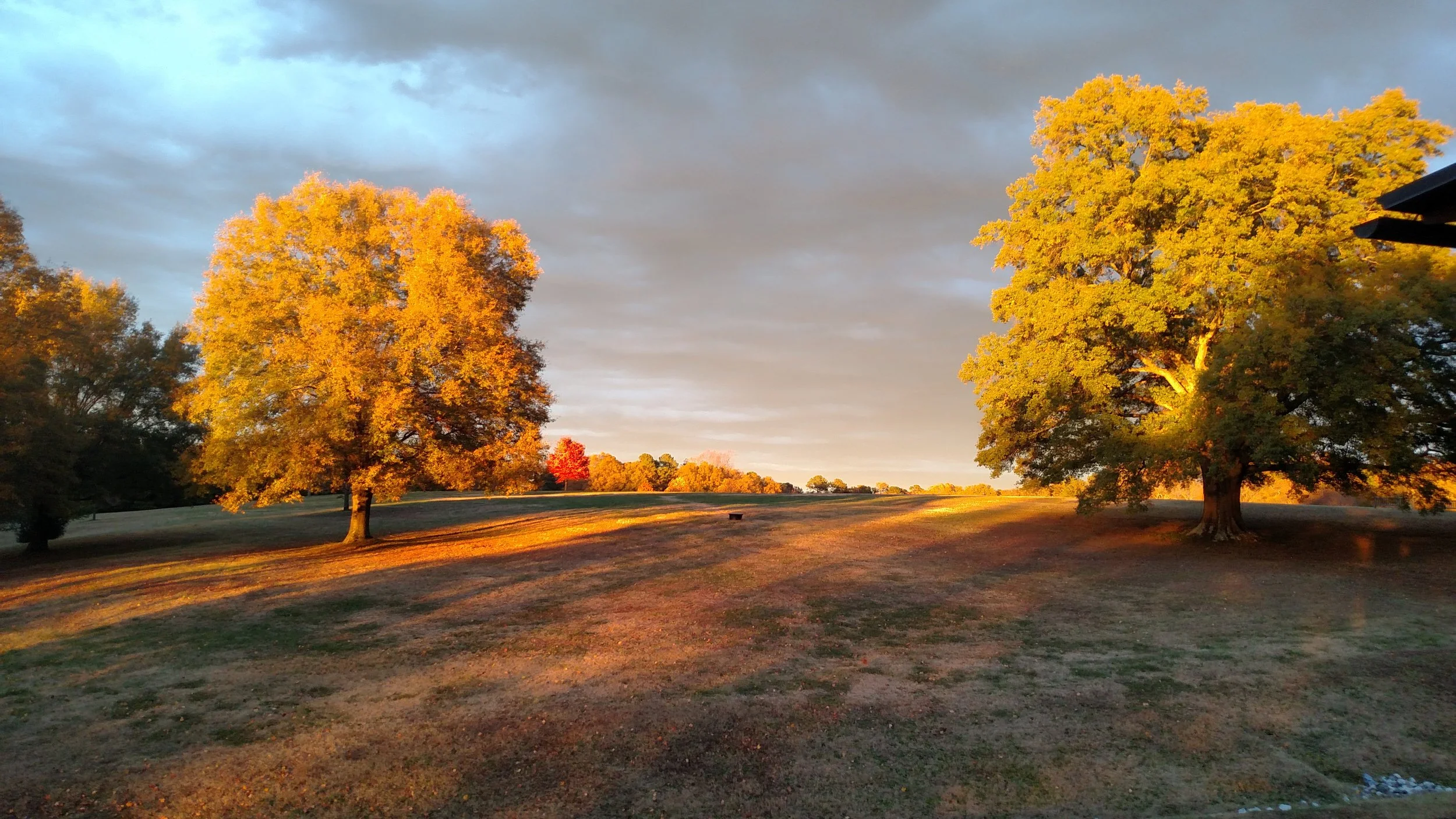 fallday.jpg