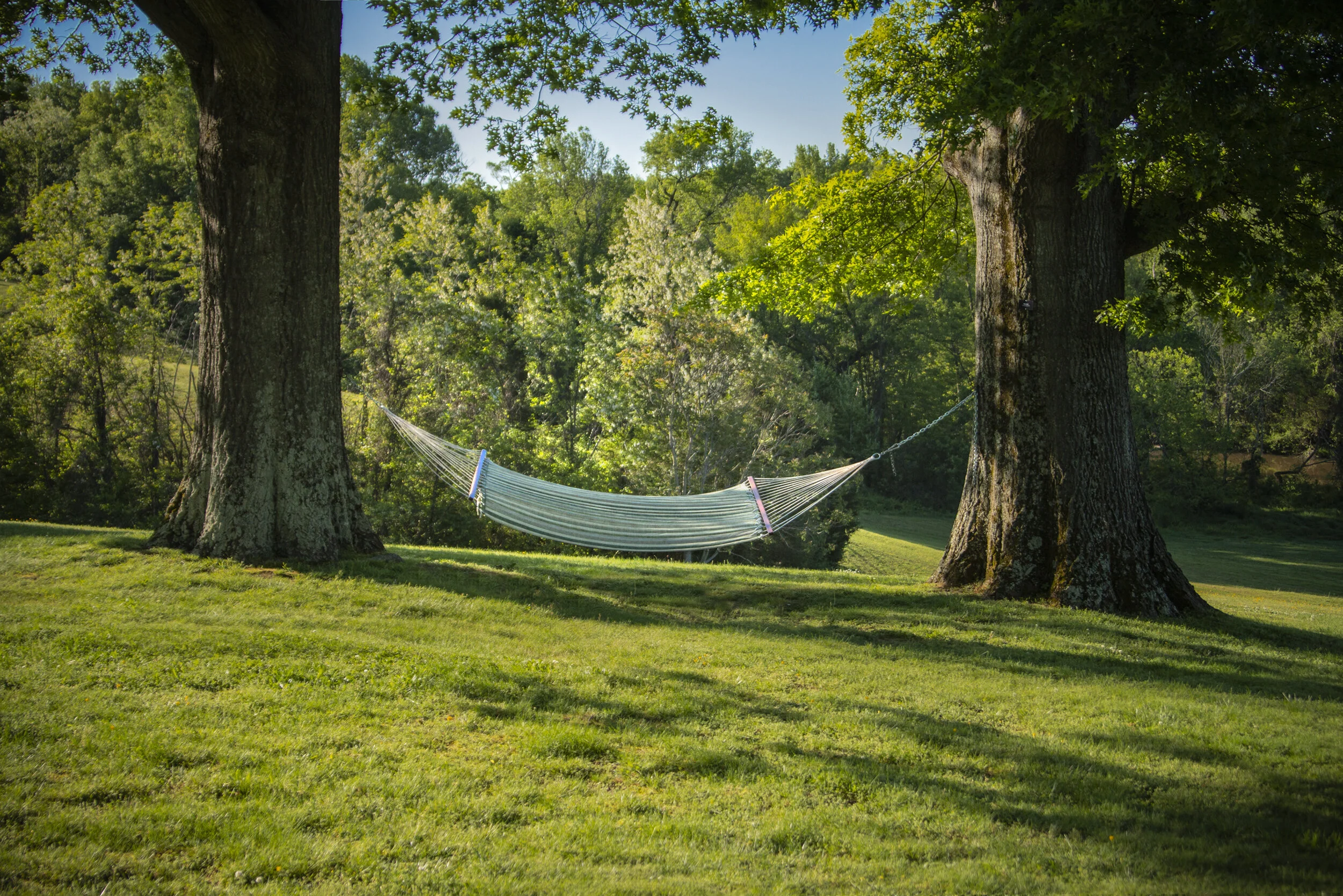 Roslyn_2019_Hammock_v1web.jpg