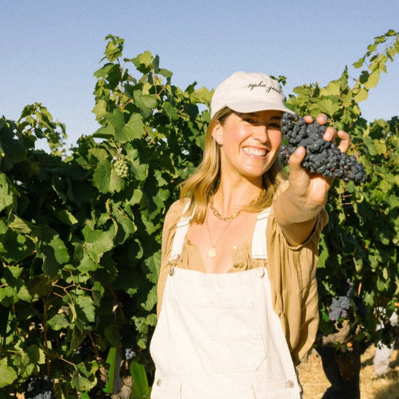 harvest-5.jpg