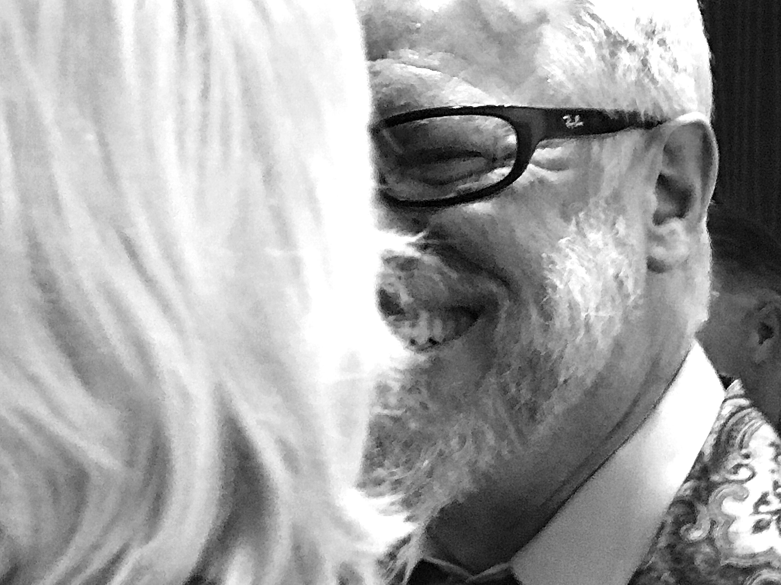 THE ARTIST SHAG (JOSH AGLE) THE SHAG STORE, WEST HOLLYWOOD 9 NOV 2019