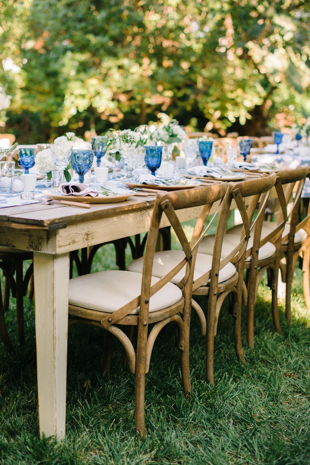 0105_Tippett_Dinner.jpg