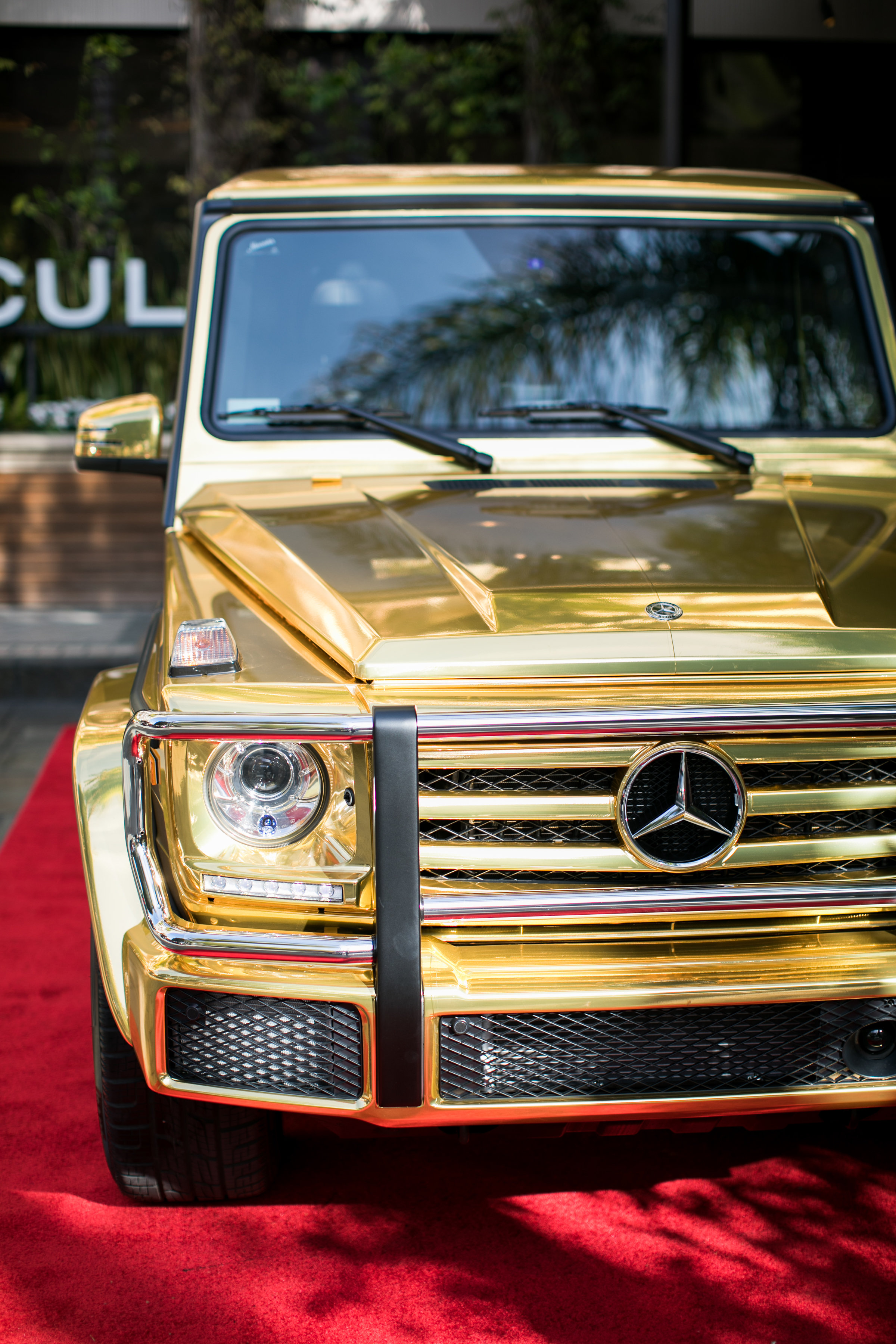 OSCAR_MBZ_18_0398.jpg