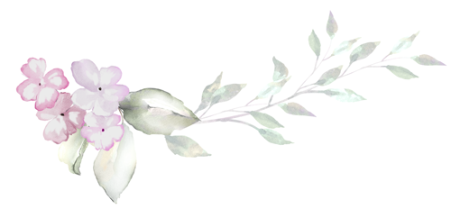 leaf-divider.png
