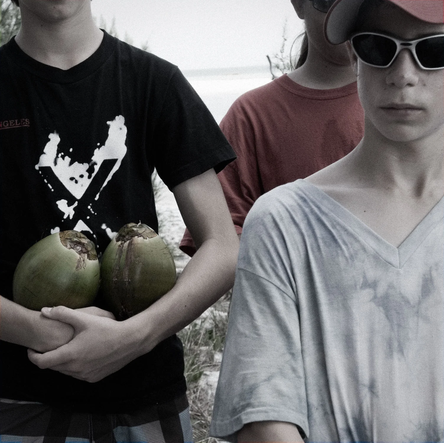 Coconuts.jpg