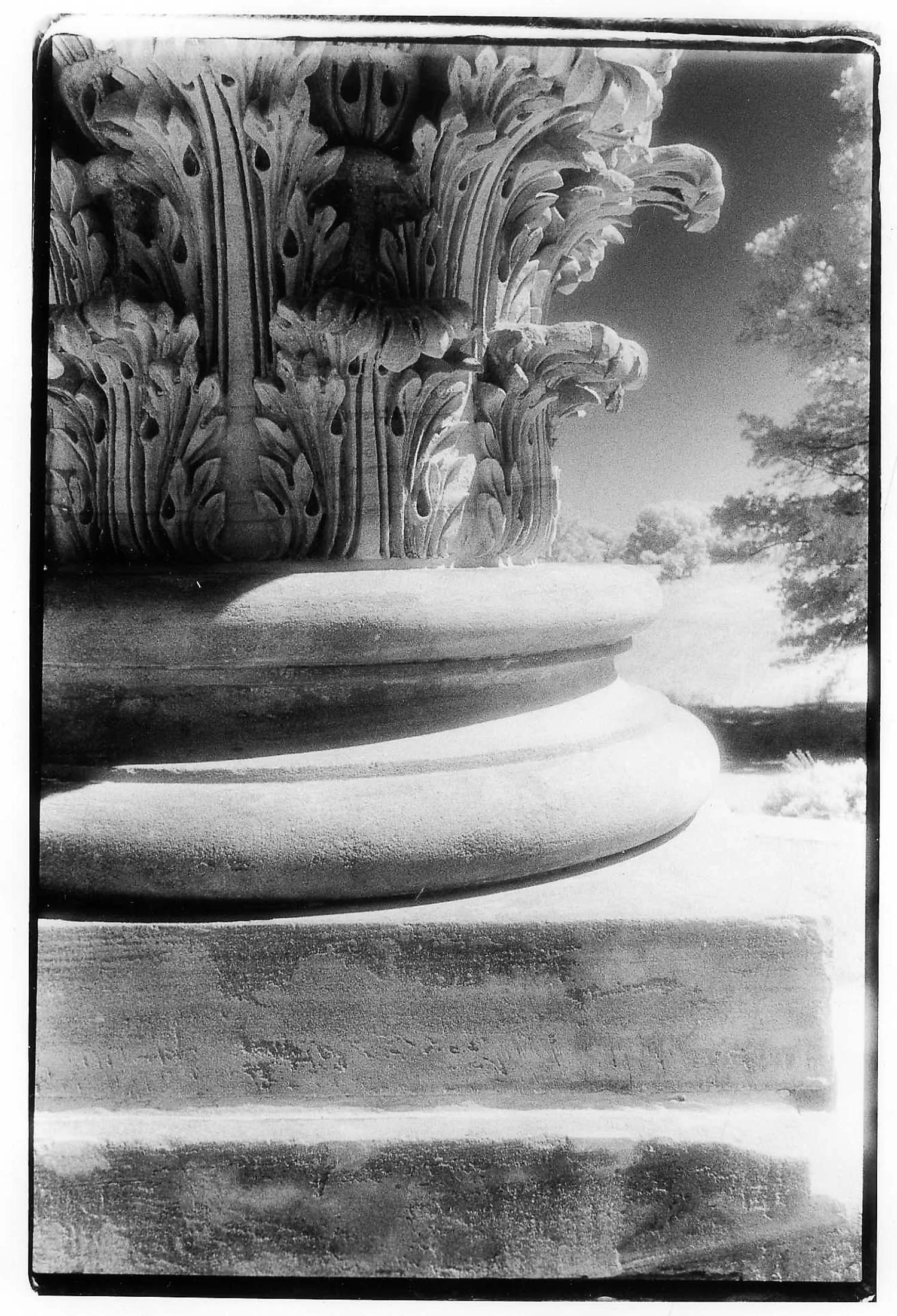 National Arboretum, Washington, DC