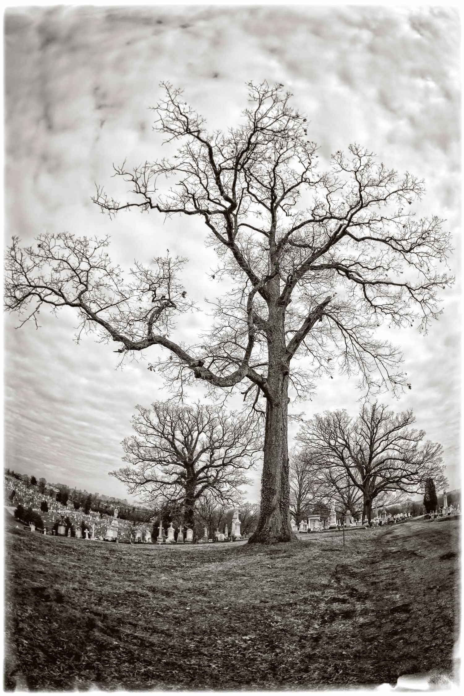 Cemetery, Baltimore, Maryland