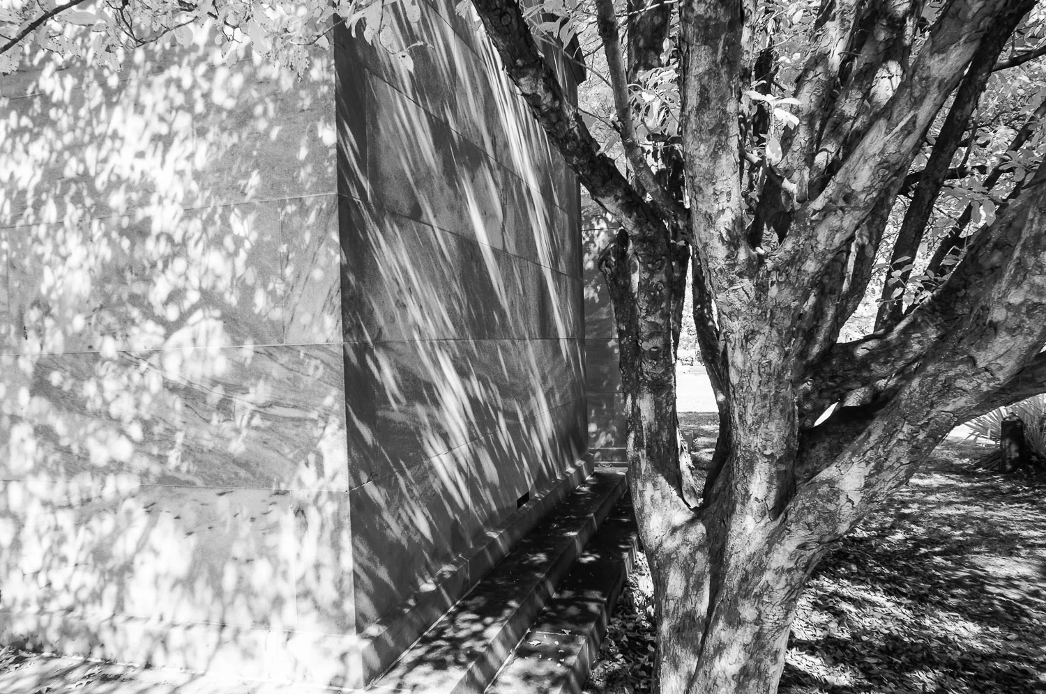 Hollywood Cemetery, Richmond, Va.