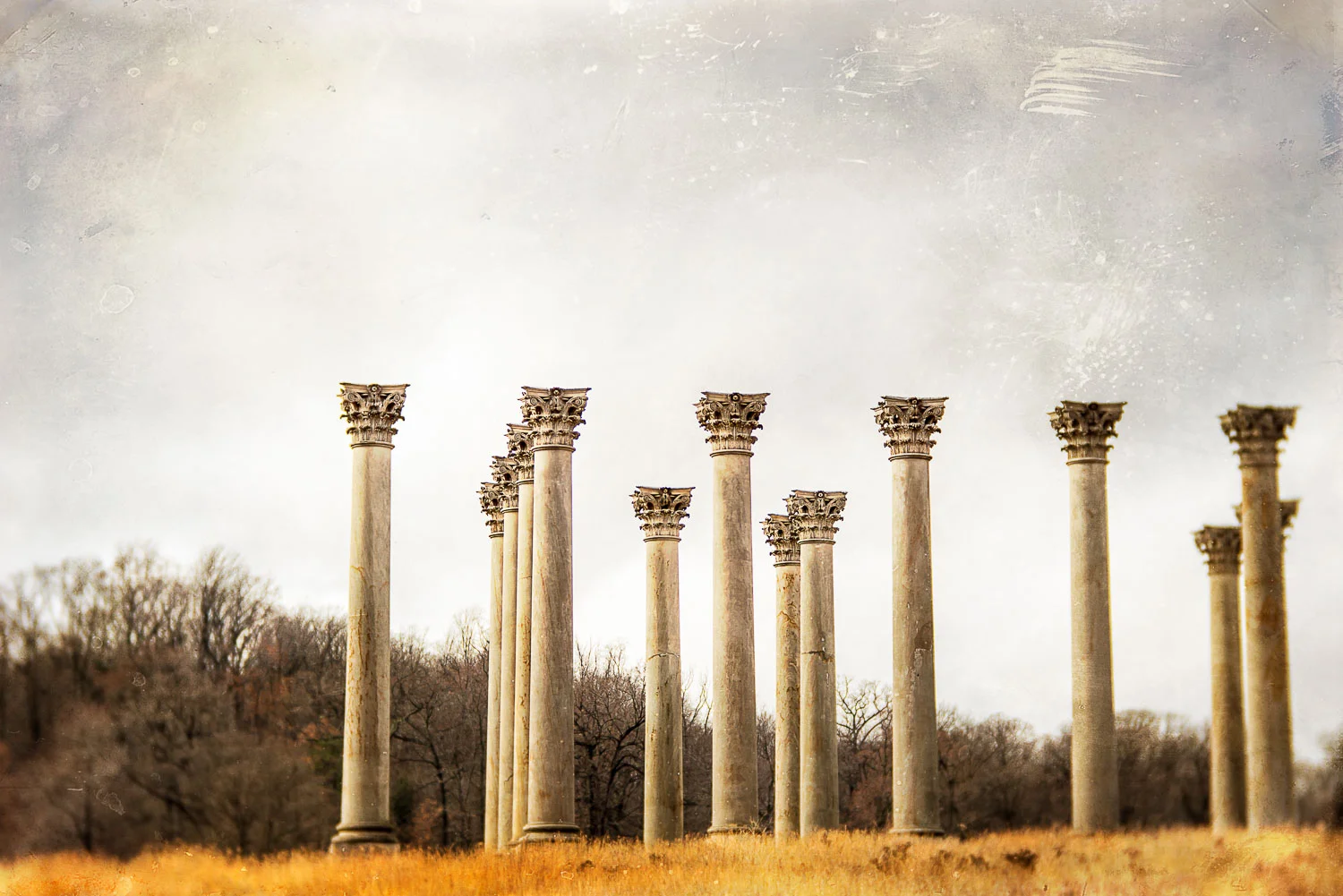 Arboretum Columns