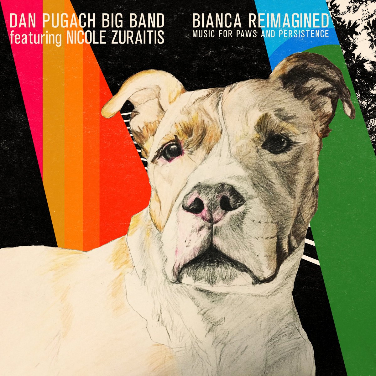 Dan Pugach Big Band