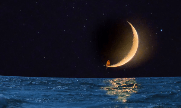 moon ocean.gif