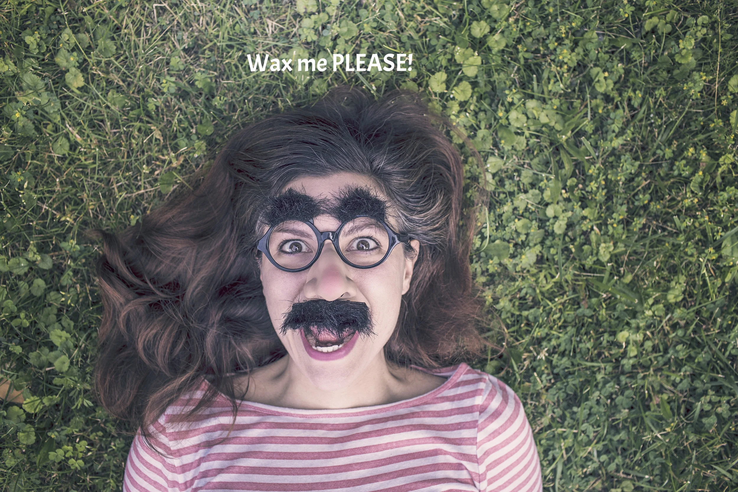 wax me.jpg
