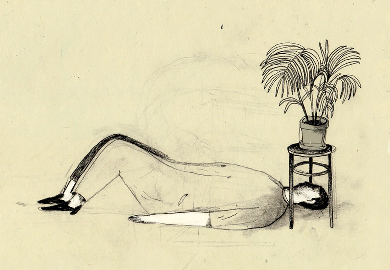 Skinkeape_cover.jpg