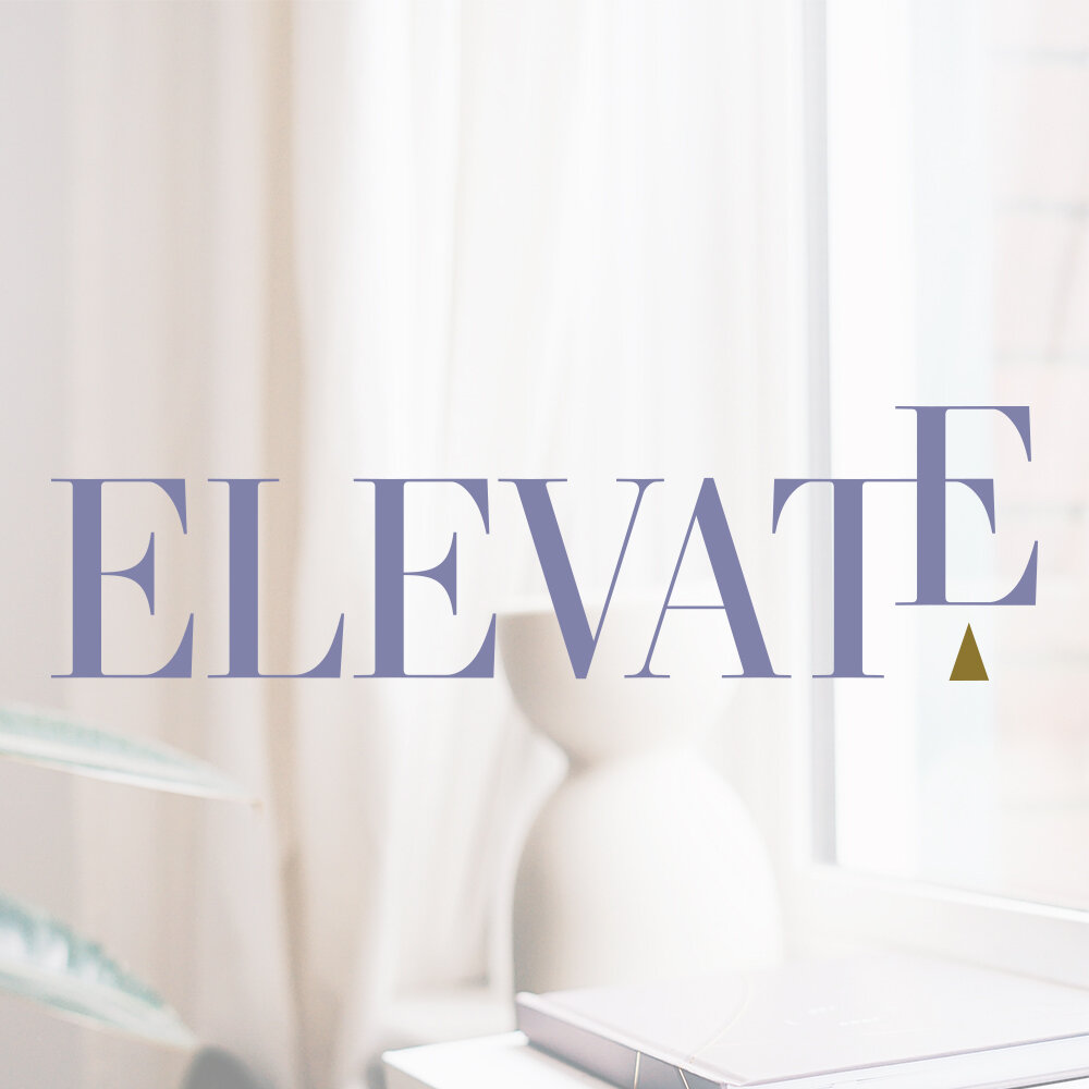 Brand Identity for Elevate