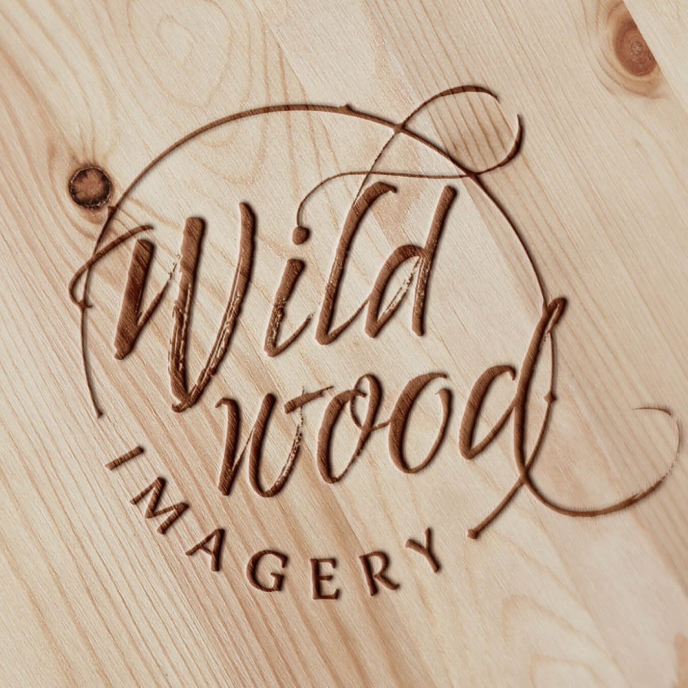 Brand Identity for Wildwood Imagery