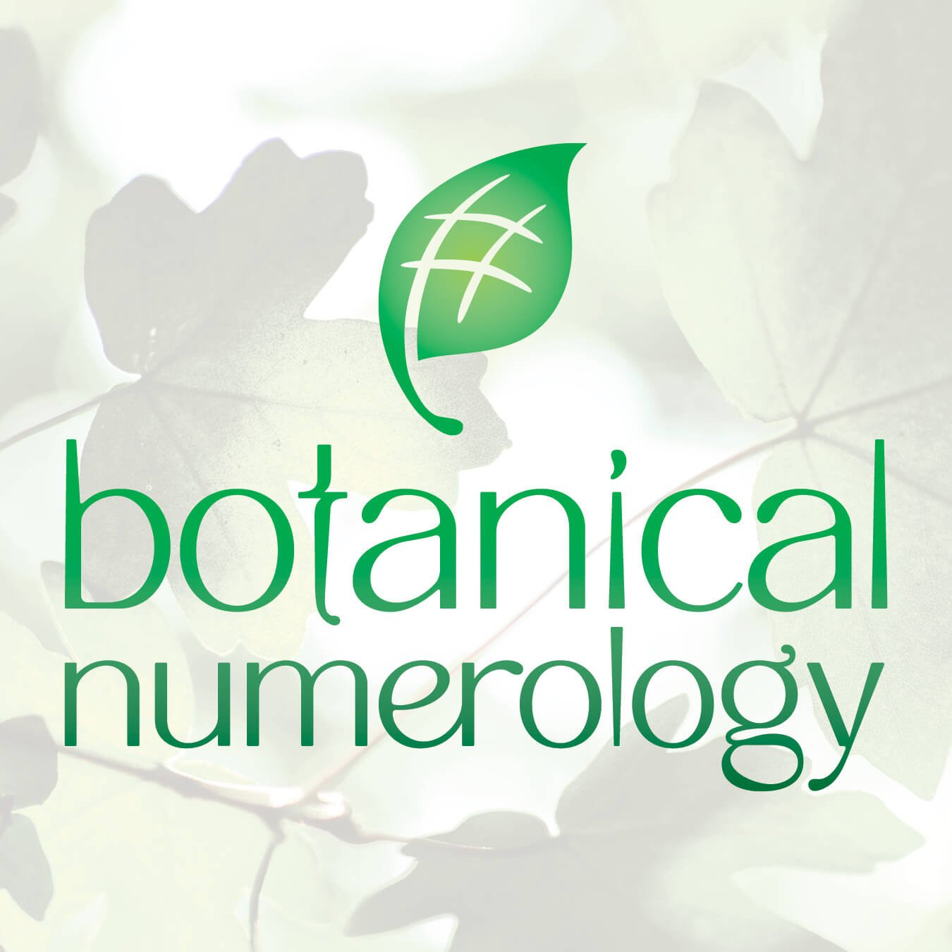 Brand Identity for Botanical Numerology