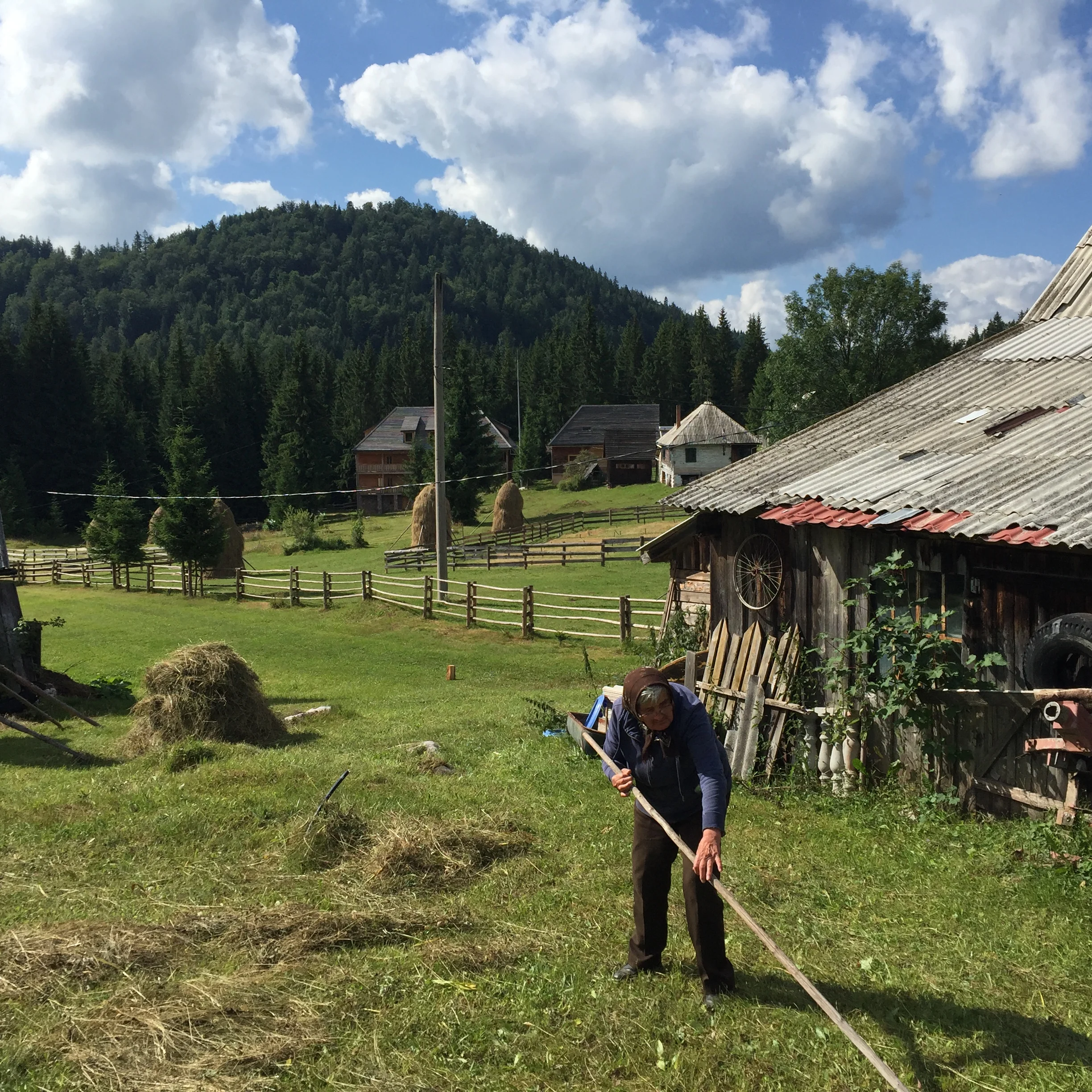 MEMORABLE 2016 MOMENT