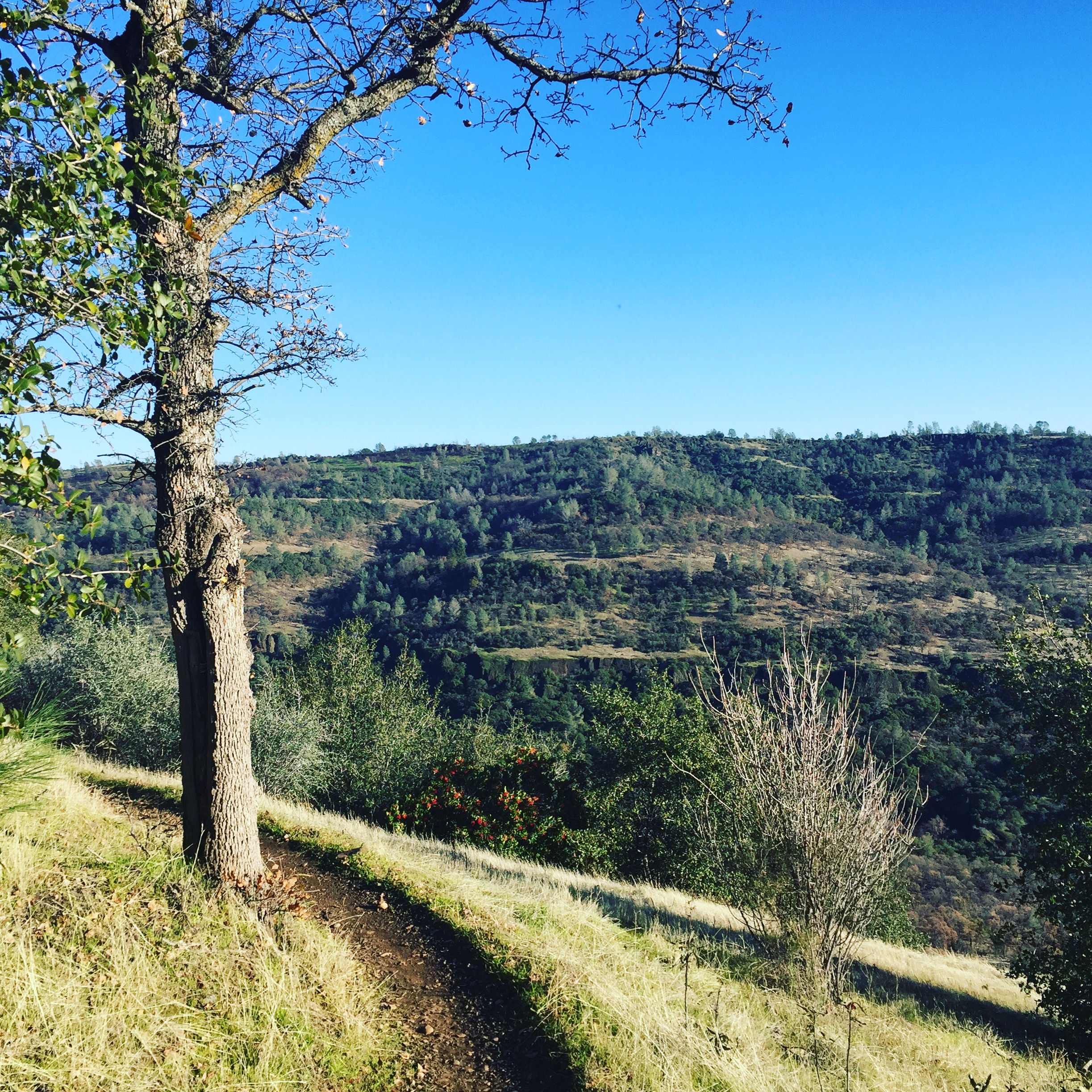 AN IMPOSSIBLE DREAM FOR 2017. HERE'S IS HOW