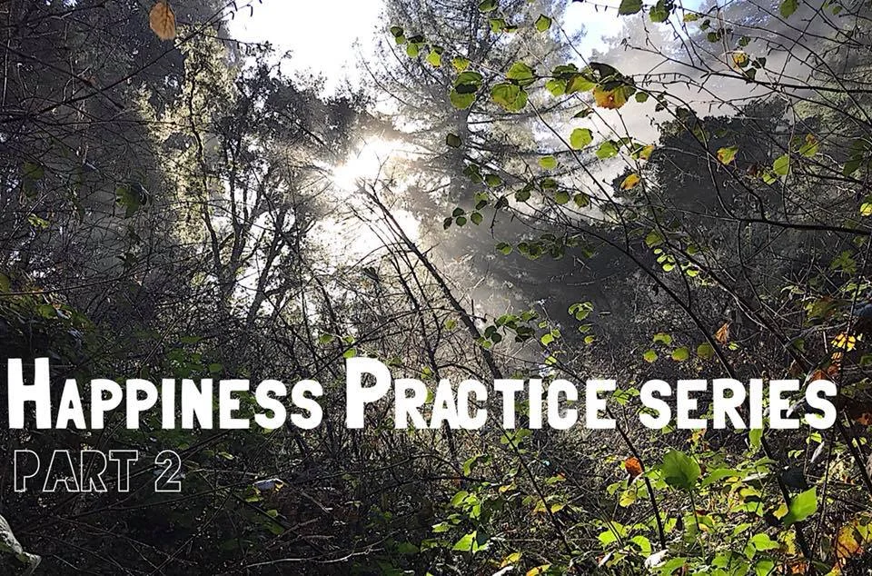 ::: THE HAPPINESS PRACTICE SERIES :::&nbsp;PART 2