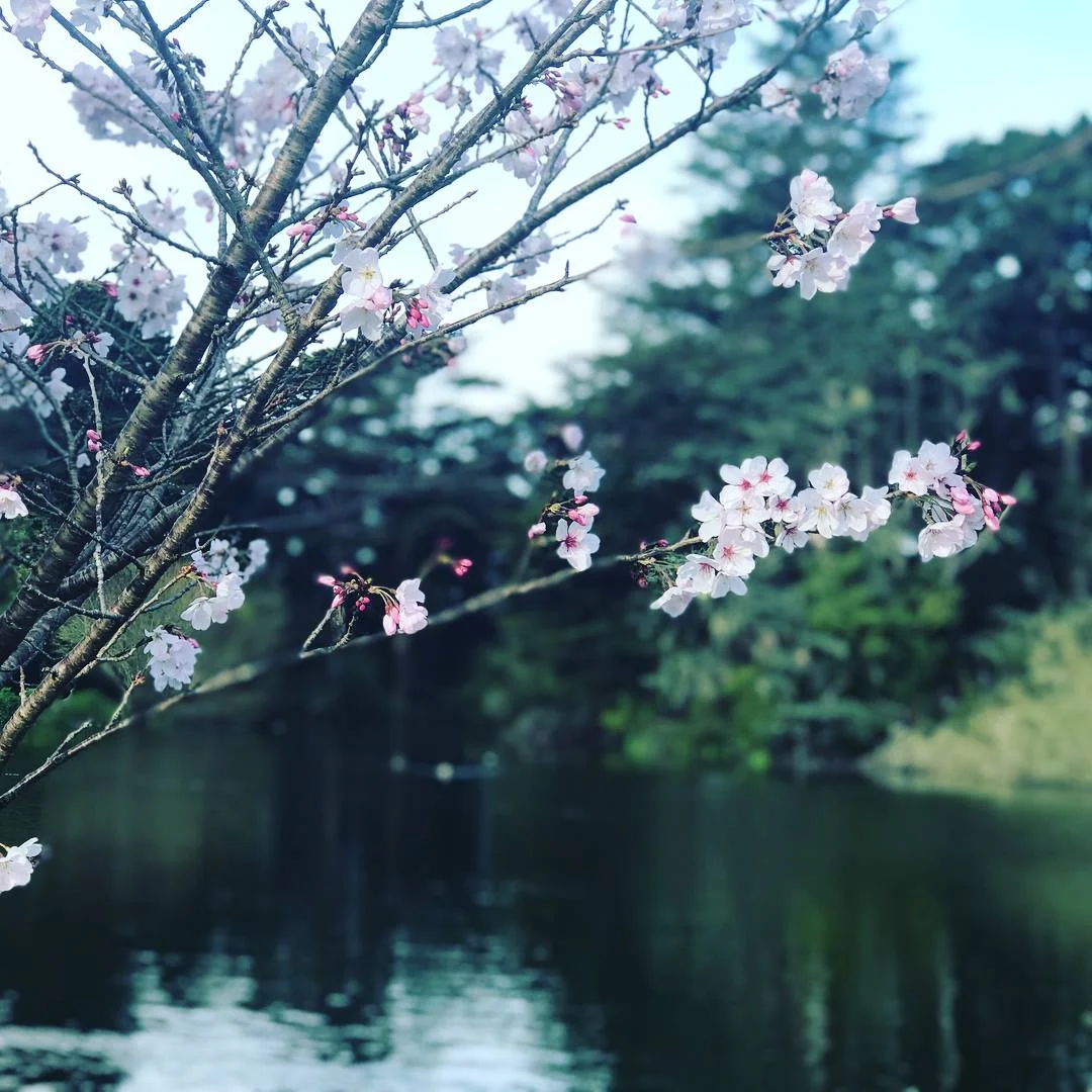 ::: THE HAPPINESS PRACTICE SERIES :::&nbsp;PART 1