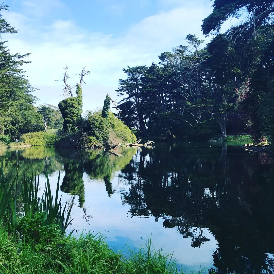 :::THE HAPPINESS PRACTICE SERIES::: PART 3