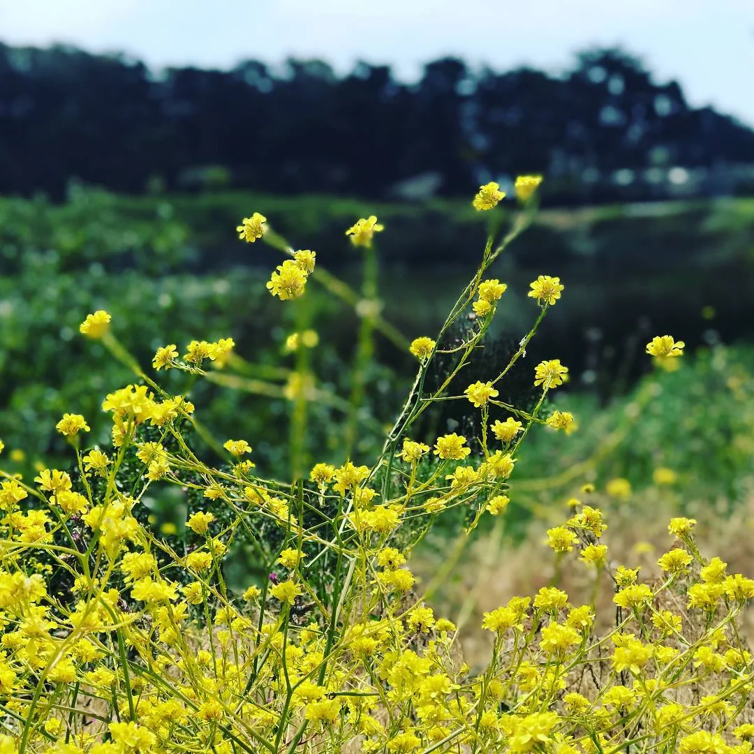 WHICH SEASON ARE YOU IN?