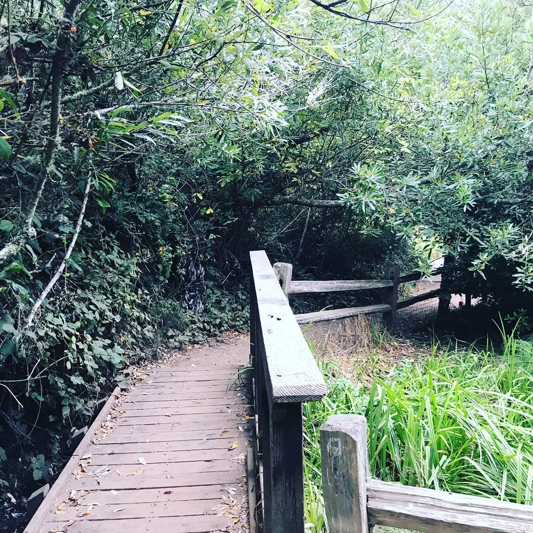 CONNECTING WITH OUR DEEPER SELF