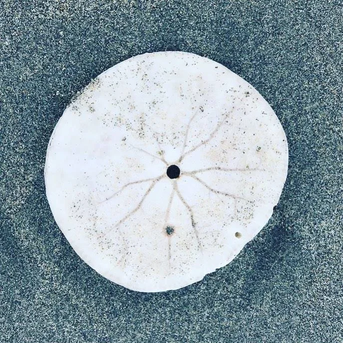 THE MOST IMPORTANT GOAL