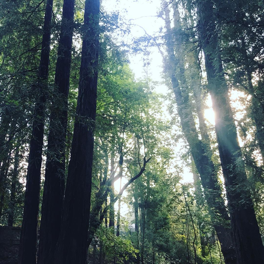 THOUGHTS ON PLANNING FOR NEXT YEAR