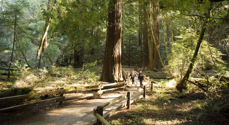 GET OUT IN NATURE!