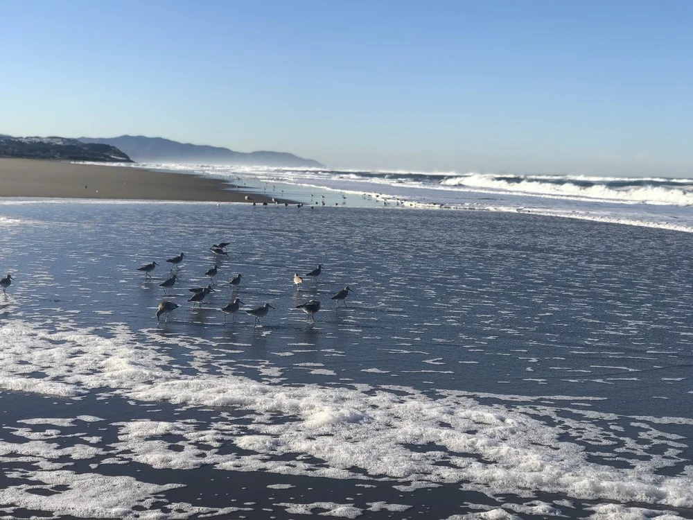 THE ONE THING THAT GOT ME TO CHANGE MY LIFE