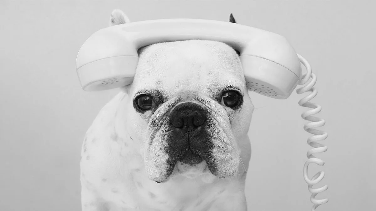 How Fast Growing Leaders Receive Feedback