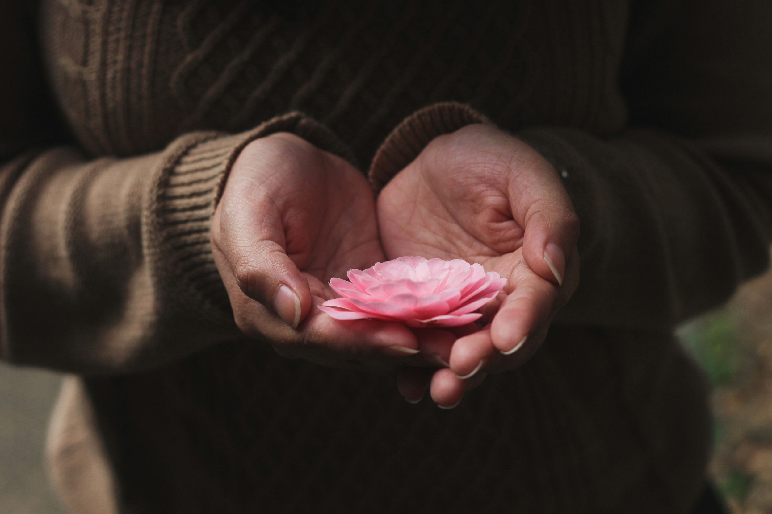 My 5 metta-practices for success