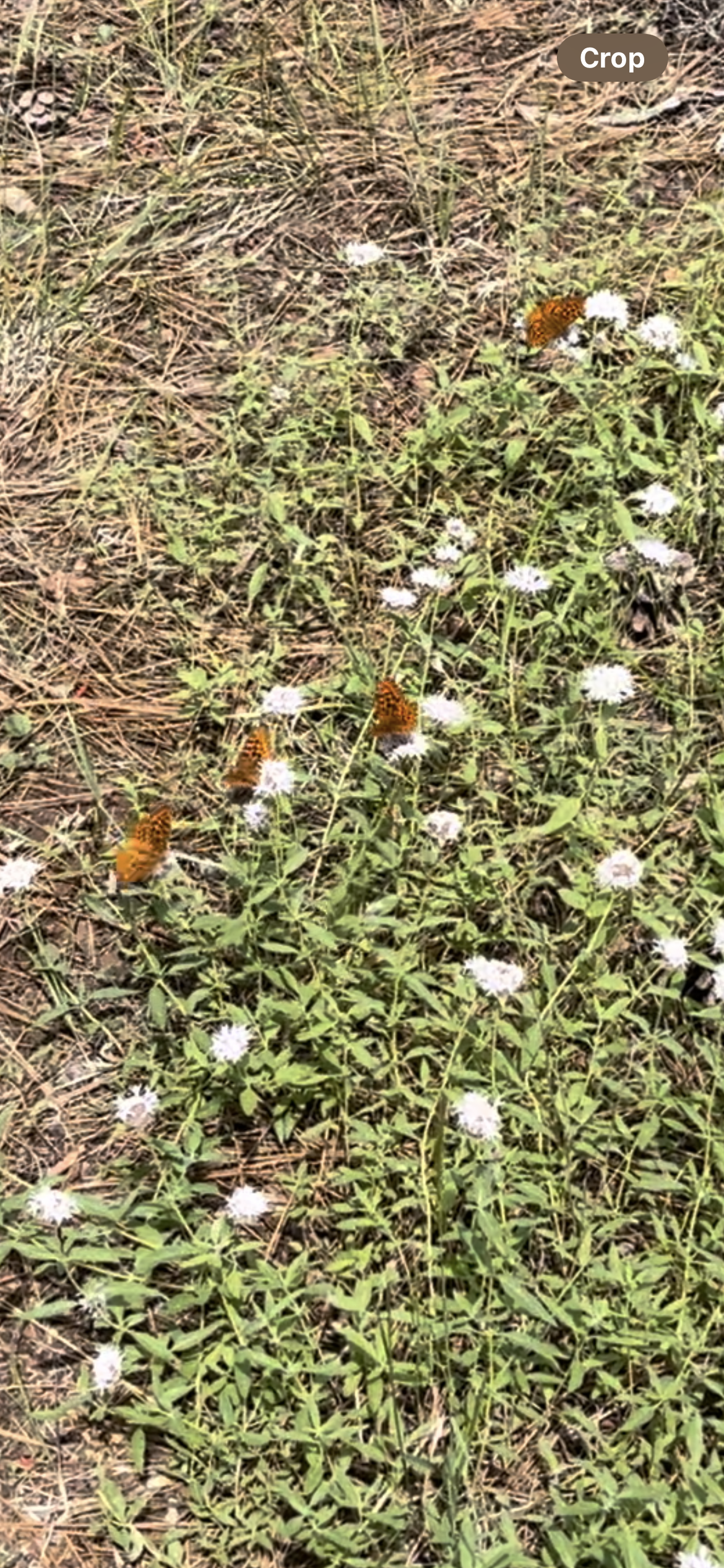 How To Clarify Your Vision - June Newsletter