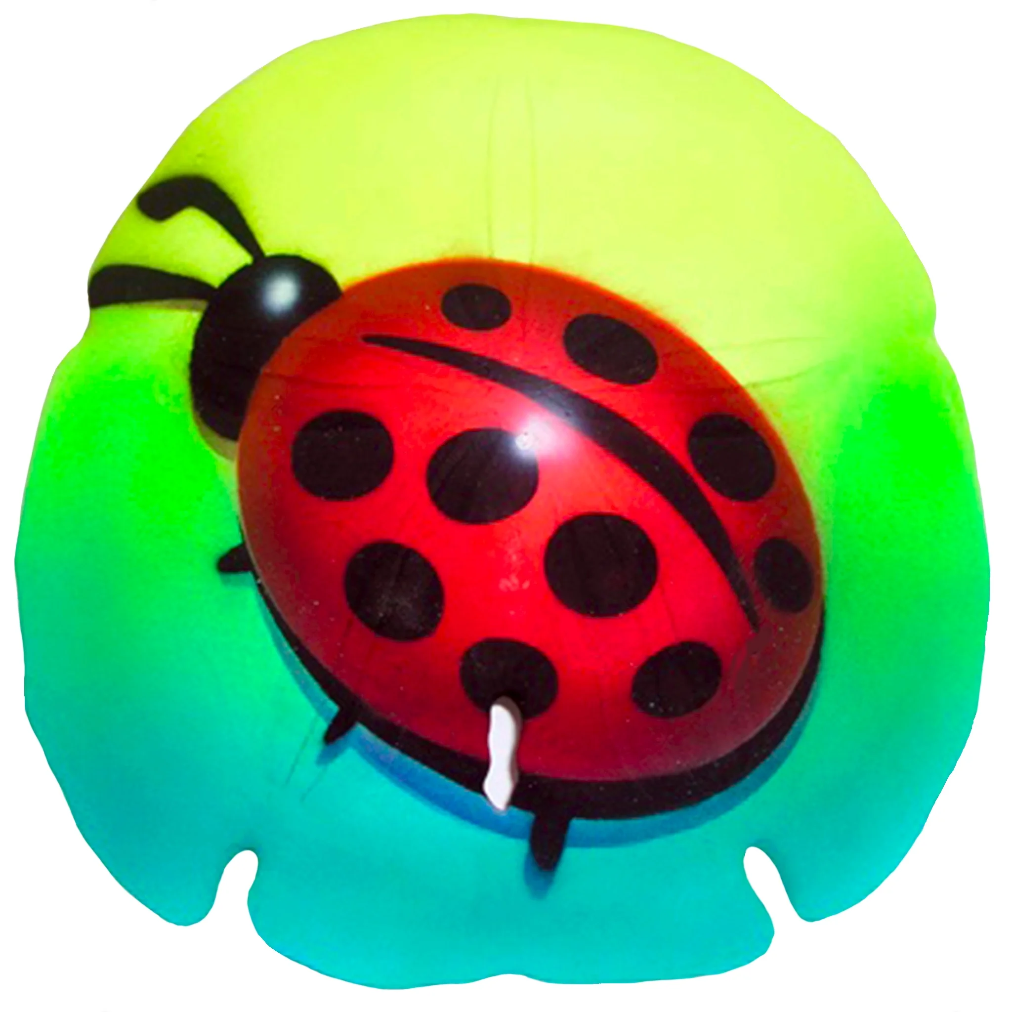 SD 34 Ladybug