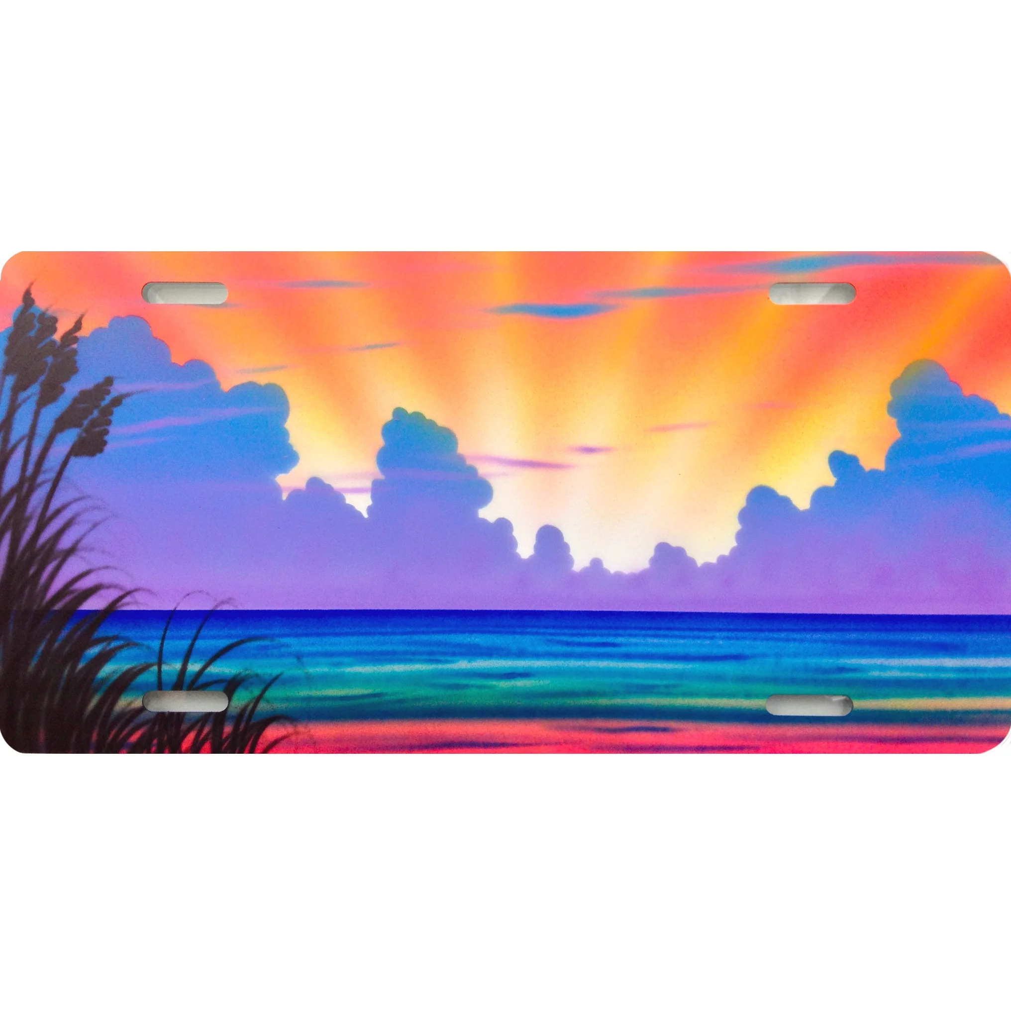 T121 Full Color Cloud Bank Beach With Sea Oats